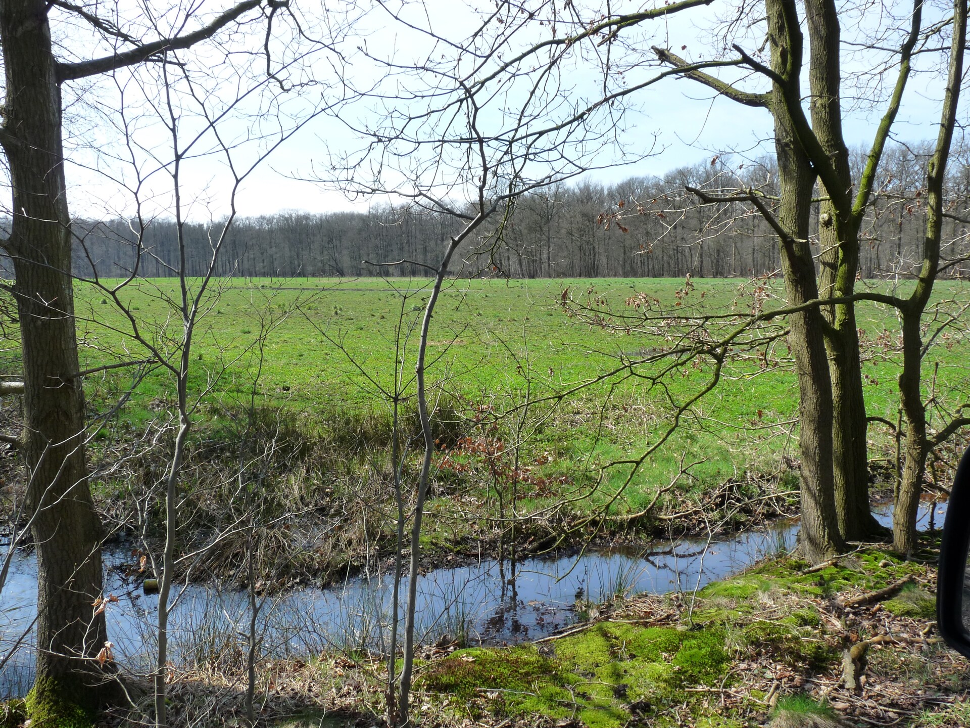 Ruim vakantiehuis voor 8 in het bos bij Maria-Aalter, 30 km van zee - foto 38