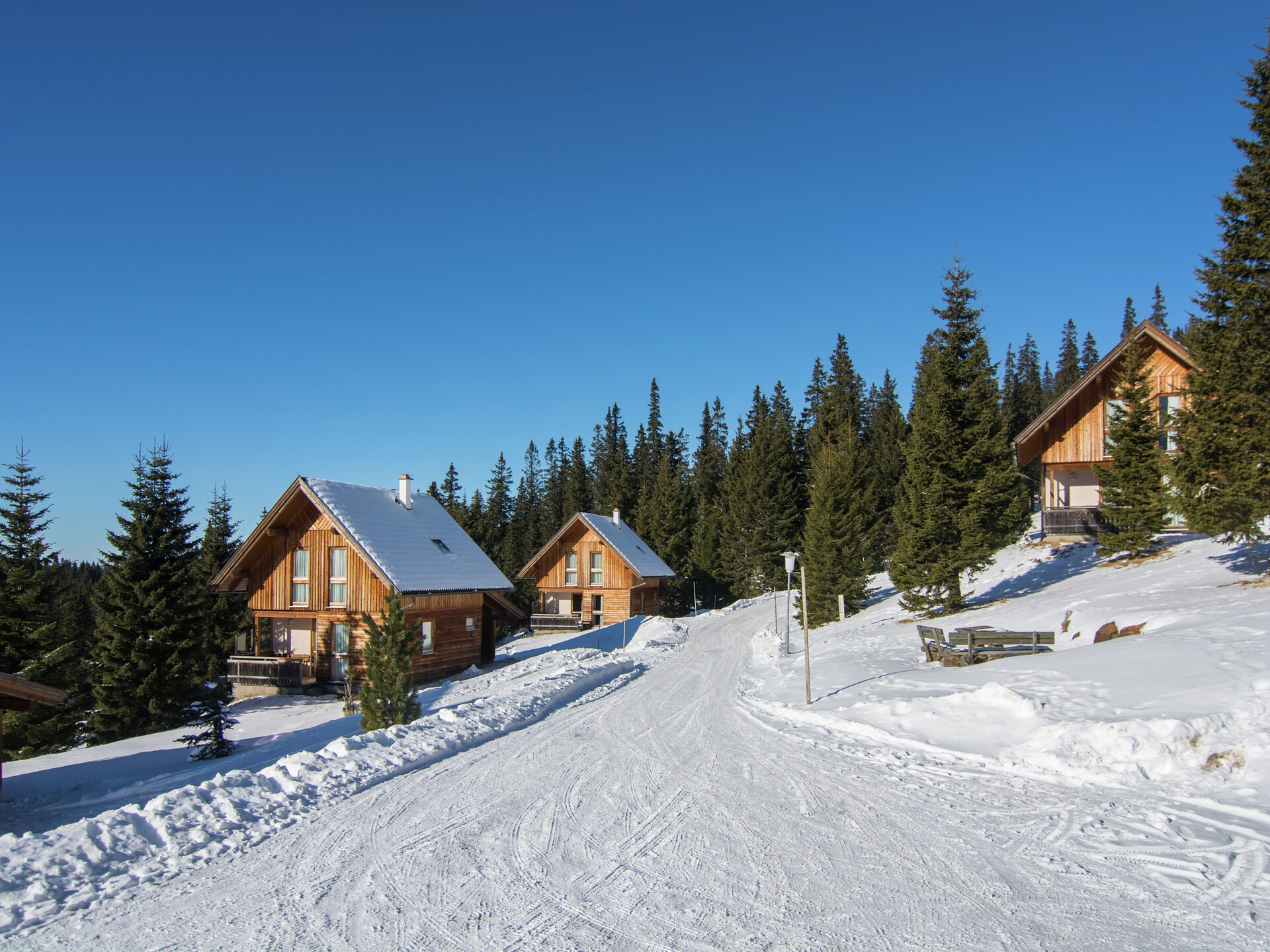 Ruim Alpenchalet voor 12 personen met sauna, vlakbij de skilift - foto 25