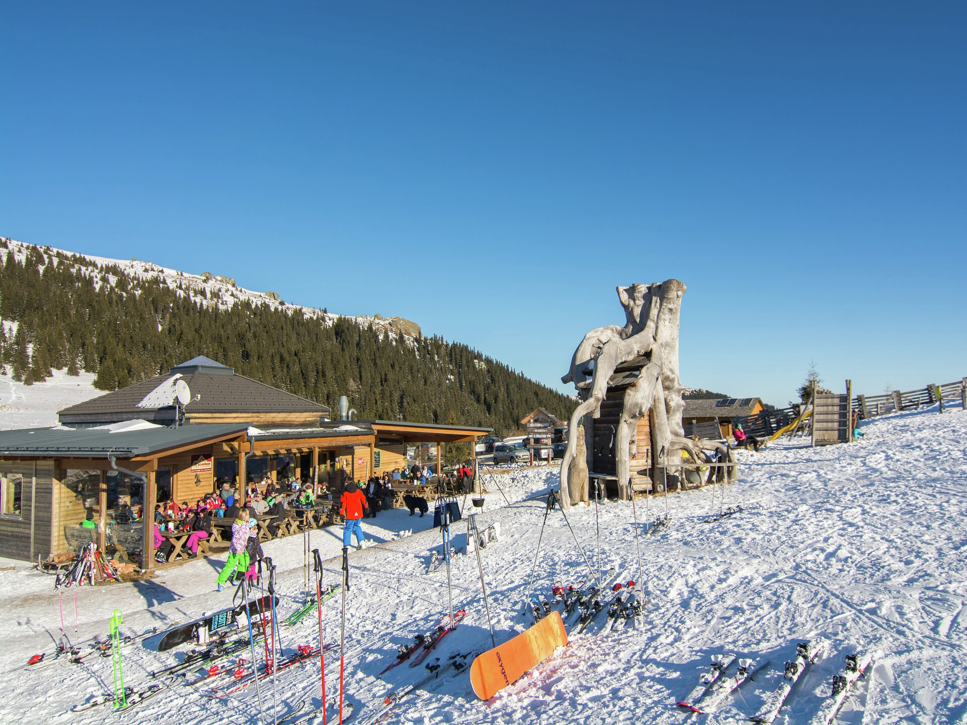 Ruim Alpenchalet voor 12 personen met sauna, vlakbij de skilift - foto 27