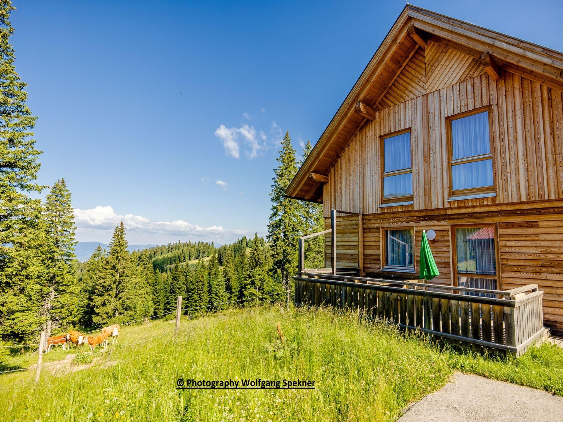 Ruim Alpenchalet voor 12 personen met sauna, vlakbij de skilift - foto 1
