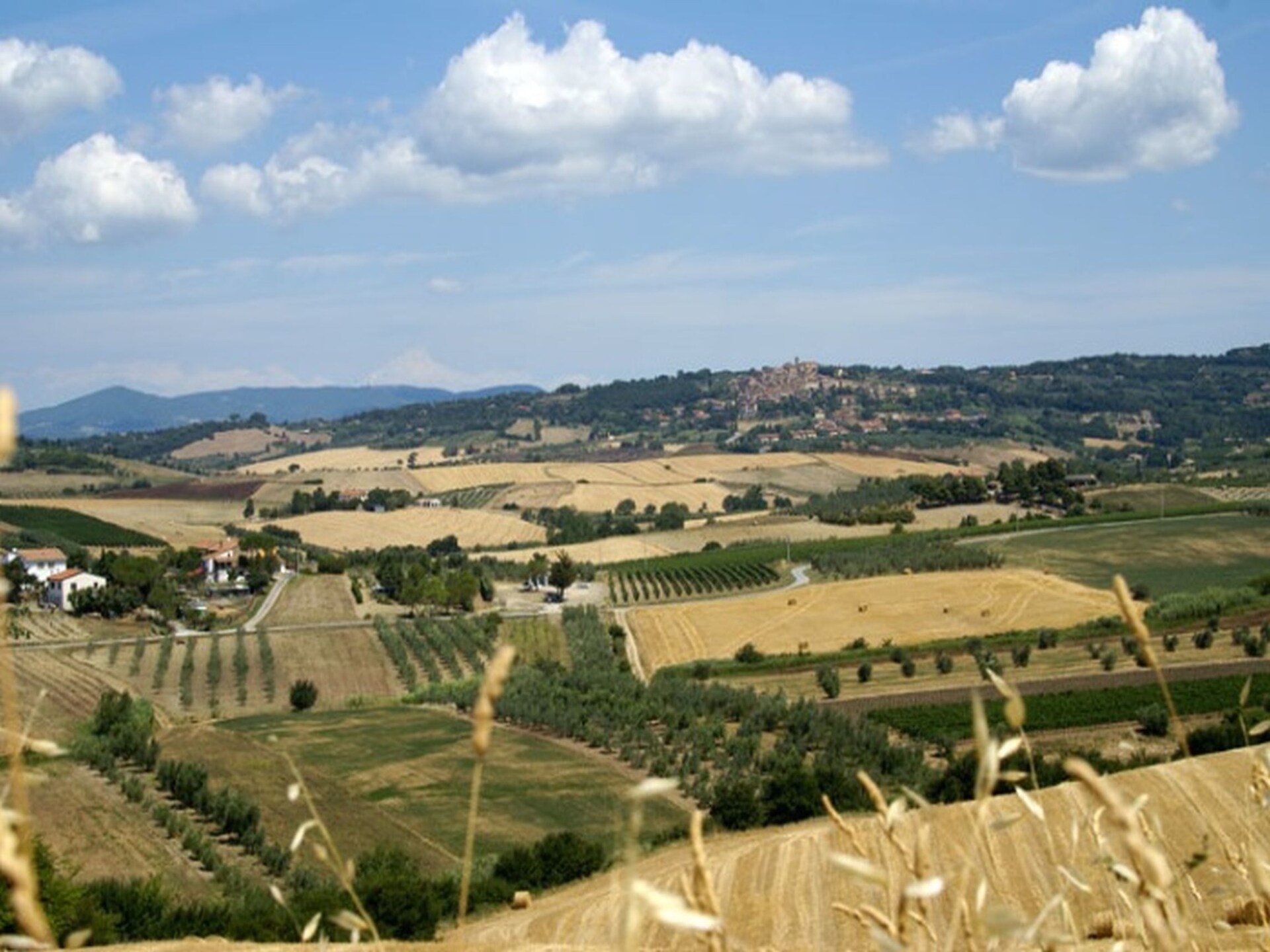Vakantiehuis Lidia in Castagneto Carducci voor 4 personen - foto 37
