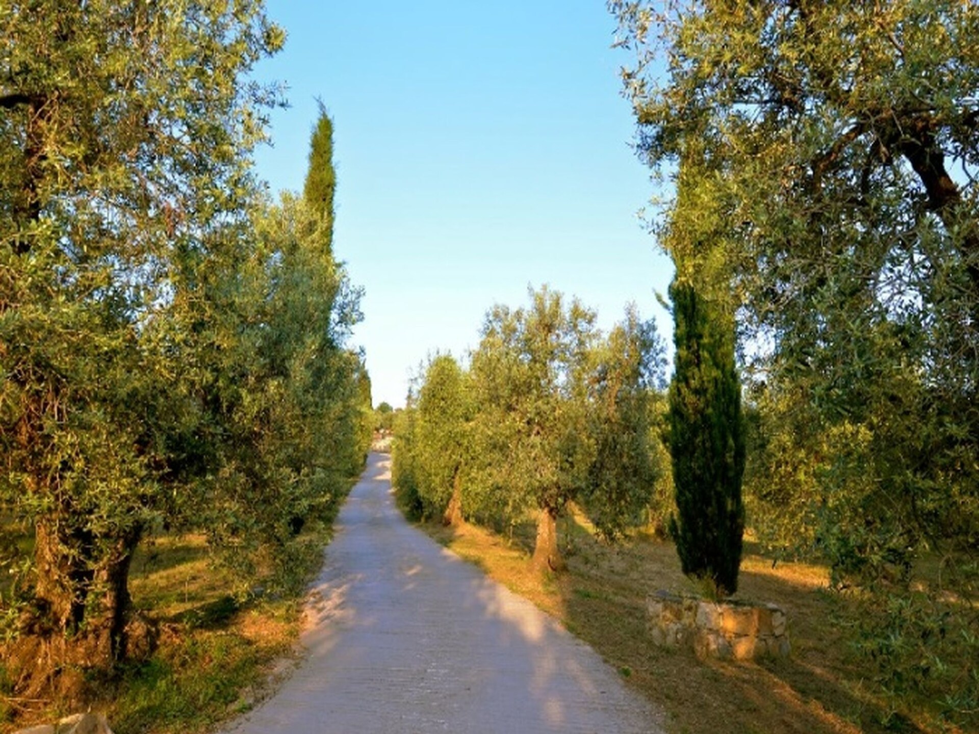 Vakantiehuis Lidia in Castagneto Carducci voor 4 personen - foto 34