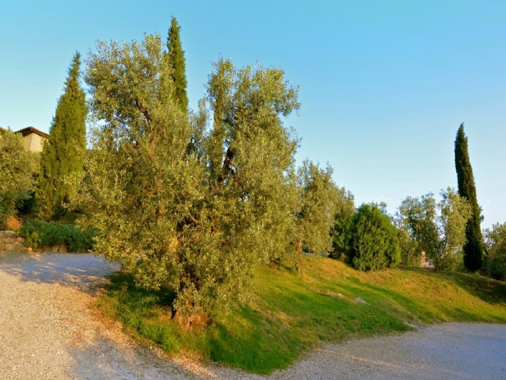 Vakantiehuis Lidia in Castagneto Carducci voor 4 personen - foto 36