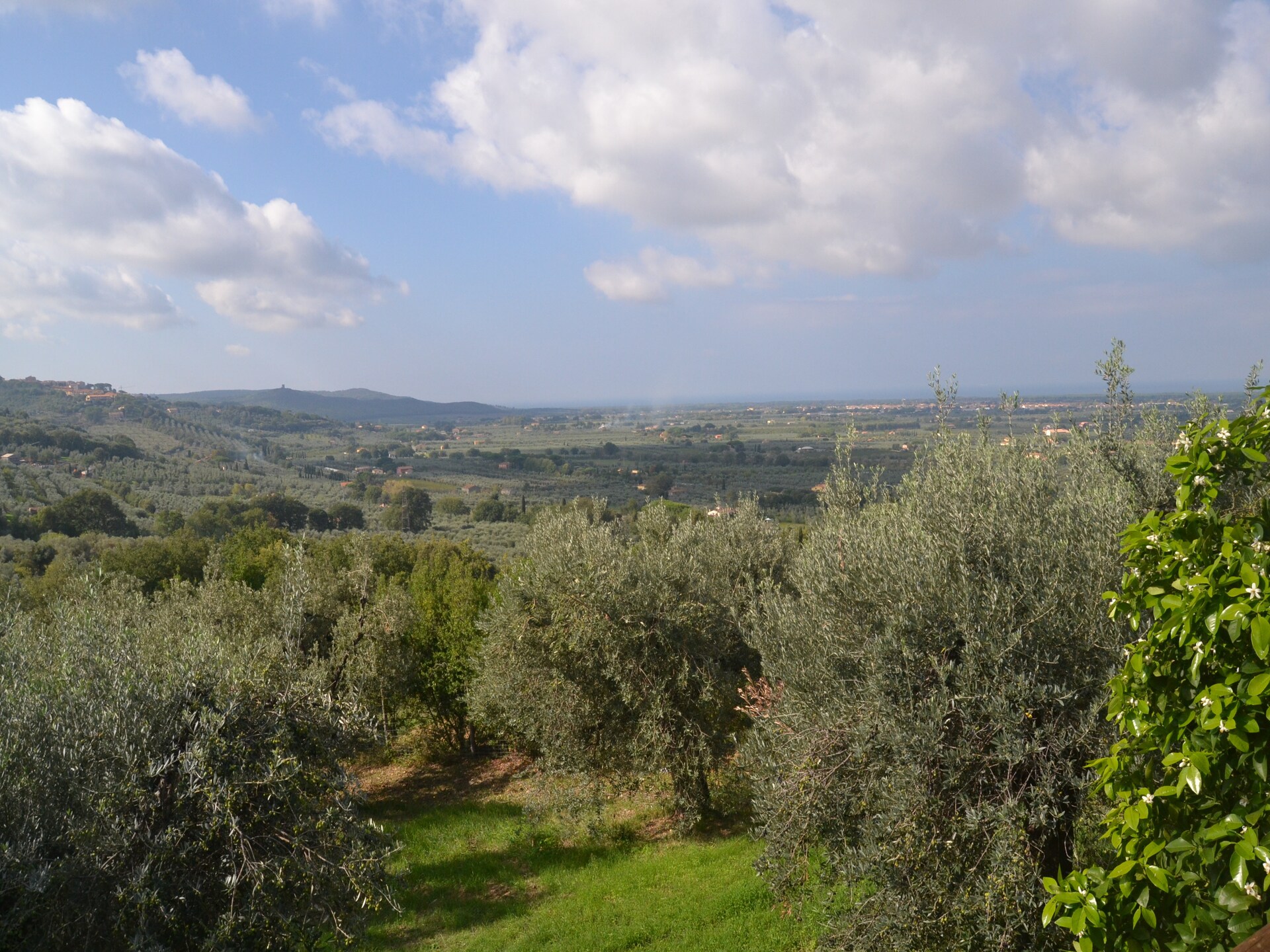 Vakantiehuis Lidia in Castagneto Carducci voor 4 personen - foto 30