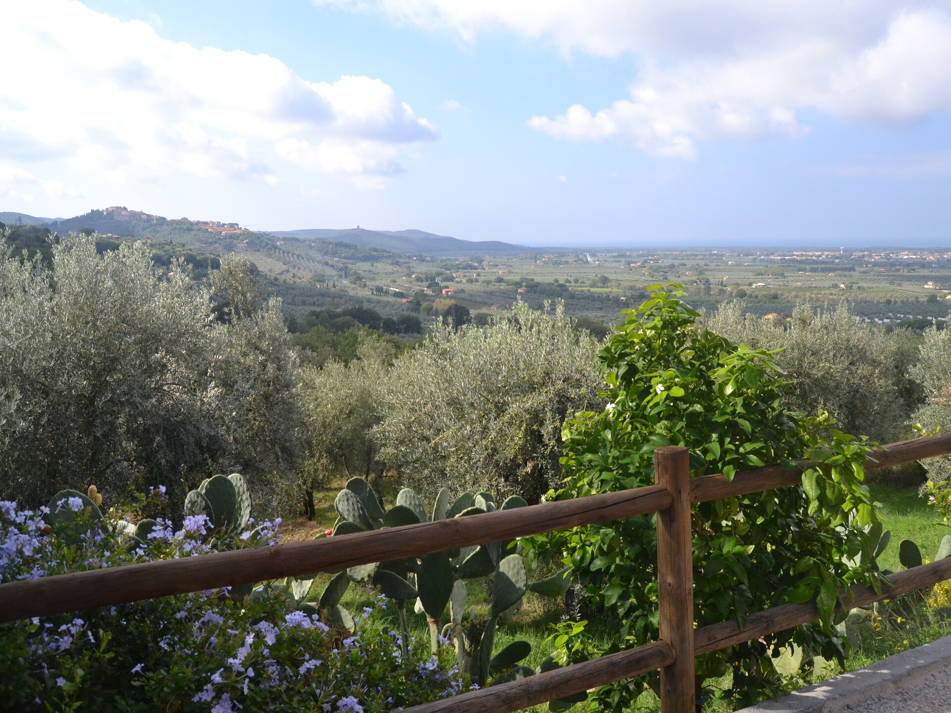 Vakantiehuis Lidia in Castagneto Carducci voor 4 personen - foto 25