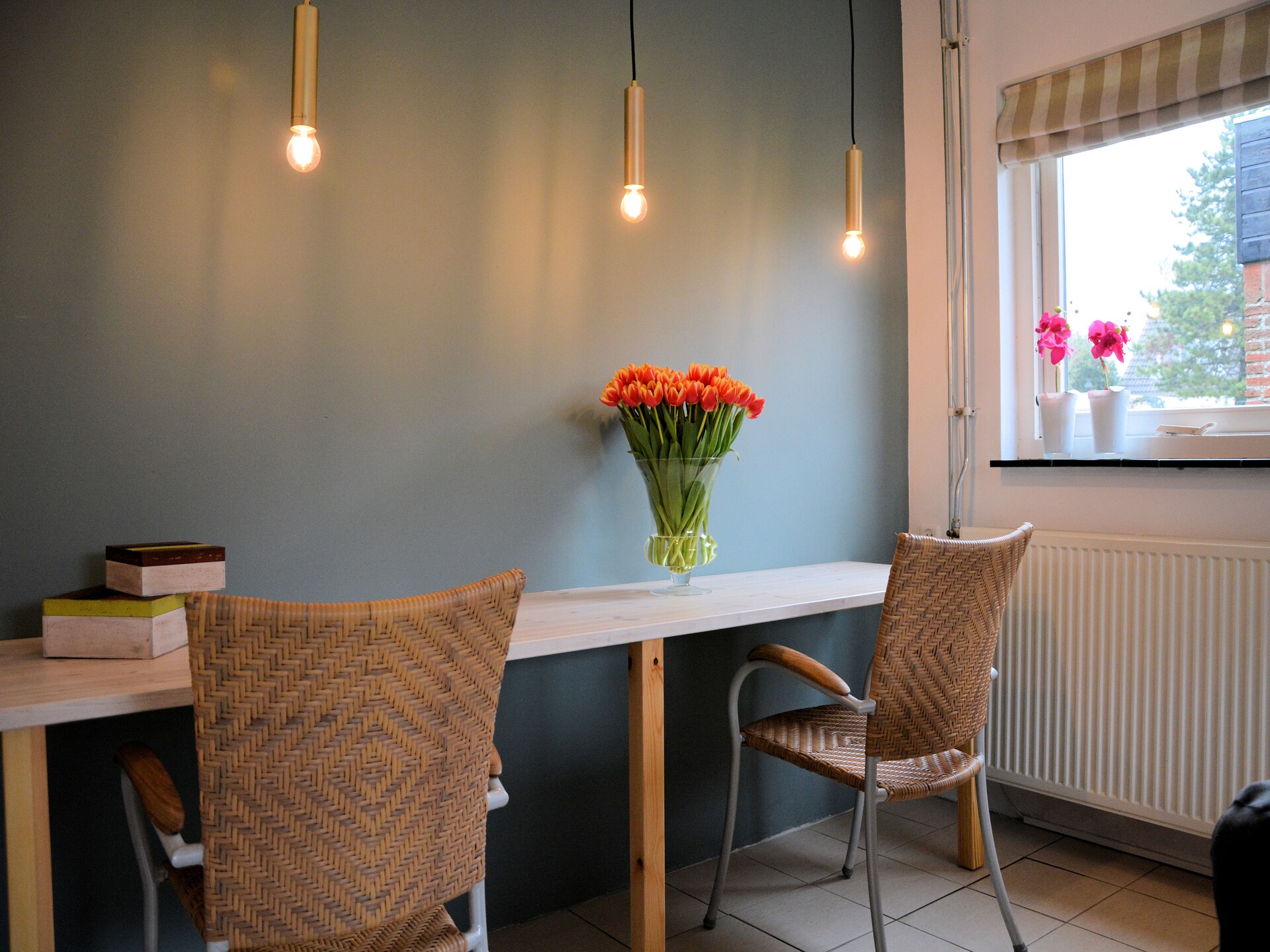 Shelley Beach House: Gezellig vakantiehuis met tuin aan de Zuid-Hollandse kust - foto 17