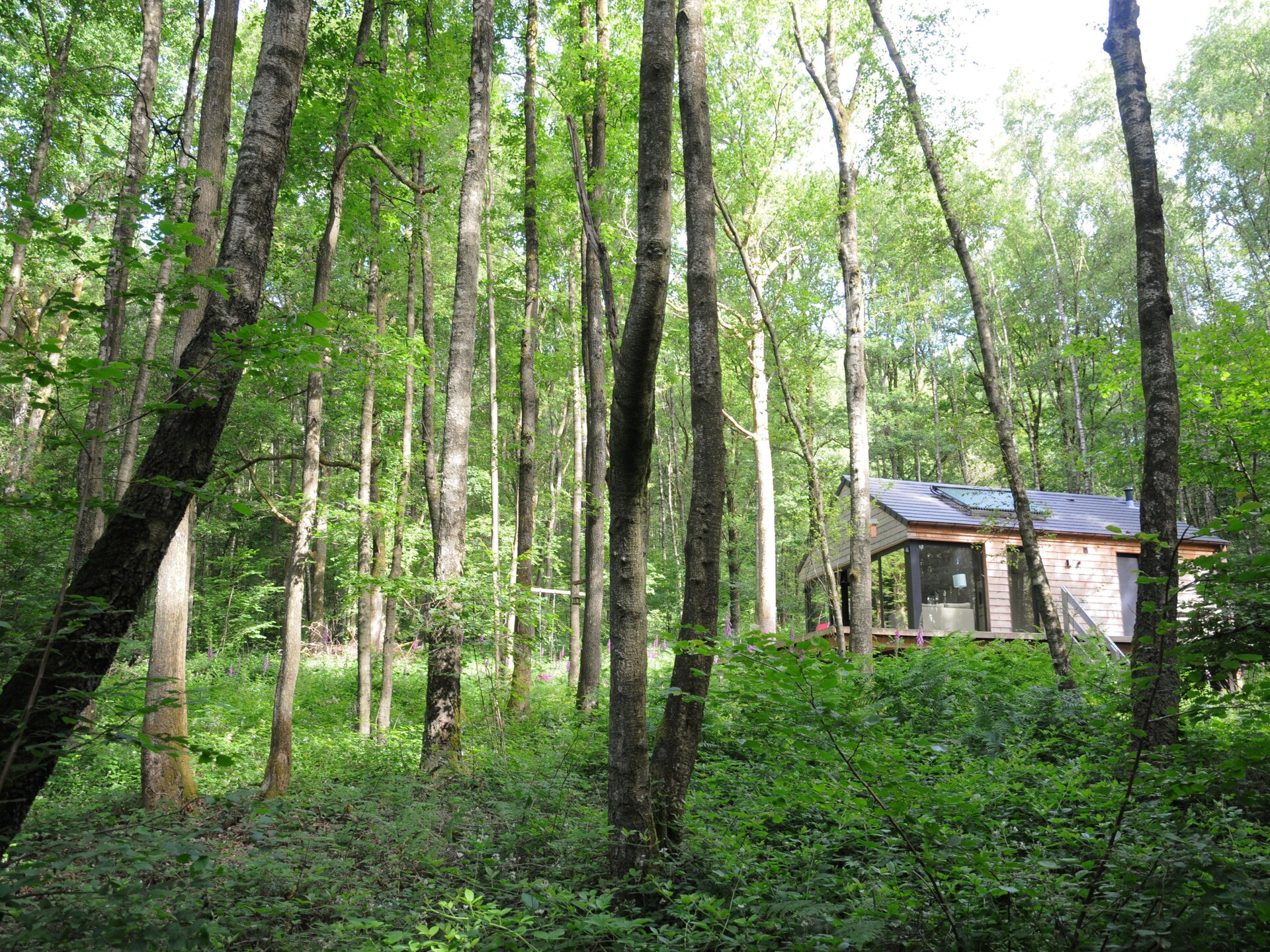 Modern vakantiehuis Droles d'écureuil in Oignies en Thierache - foto 17