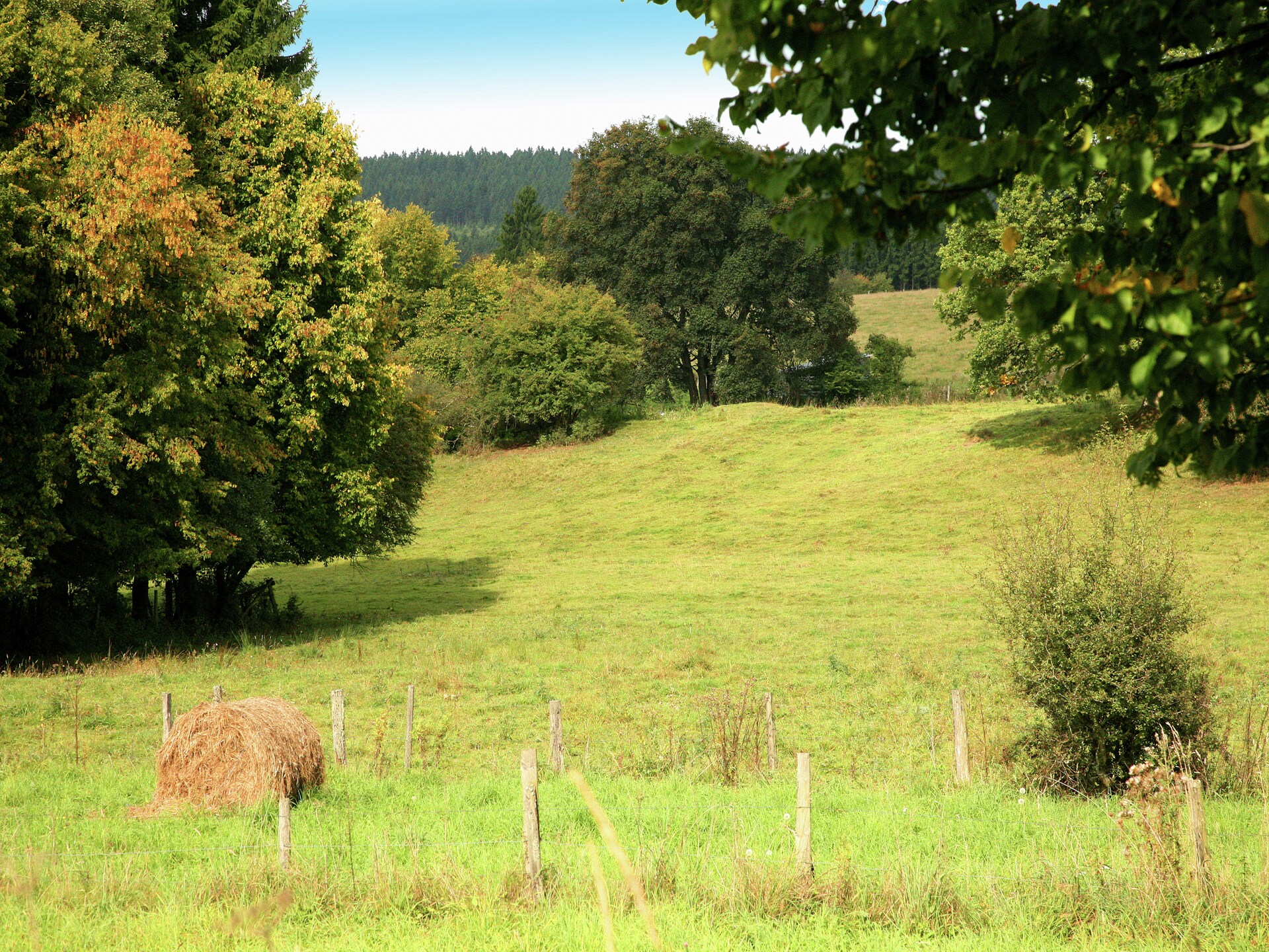 Modern vakantiehuis Droles d'écureuil in Oignies en Thierache - foto 19