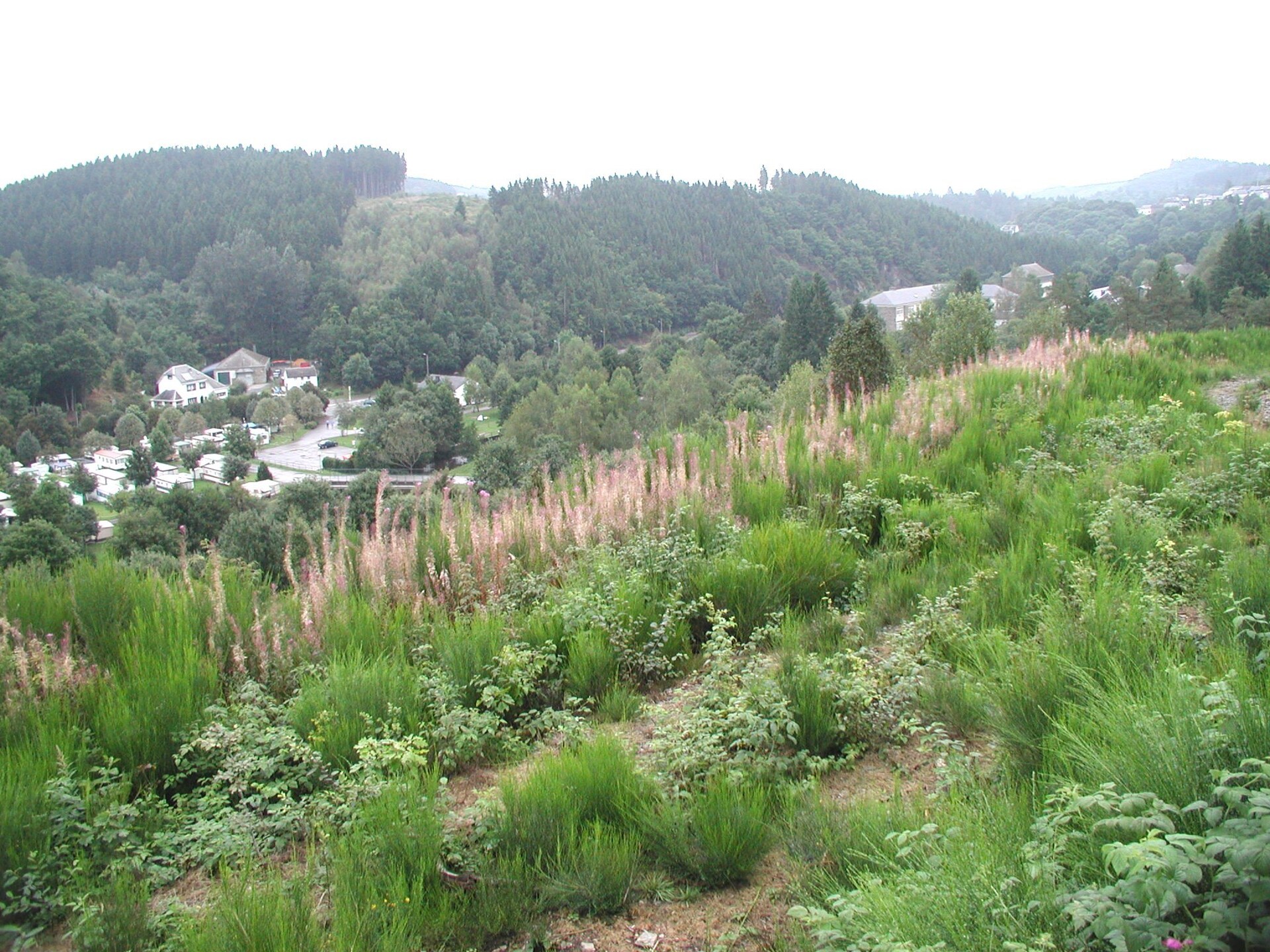 Les Jardins de l'Ourthe 16: Vrijstaand vakantiehuis in de Ardennen - foto 13