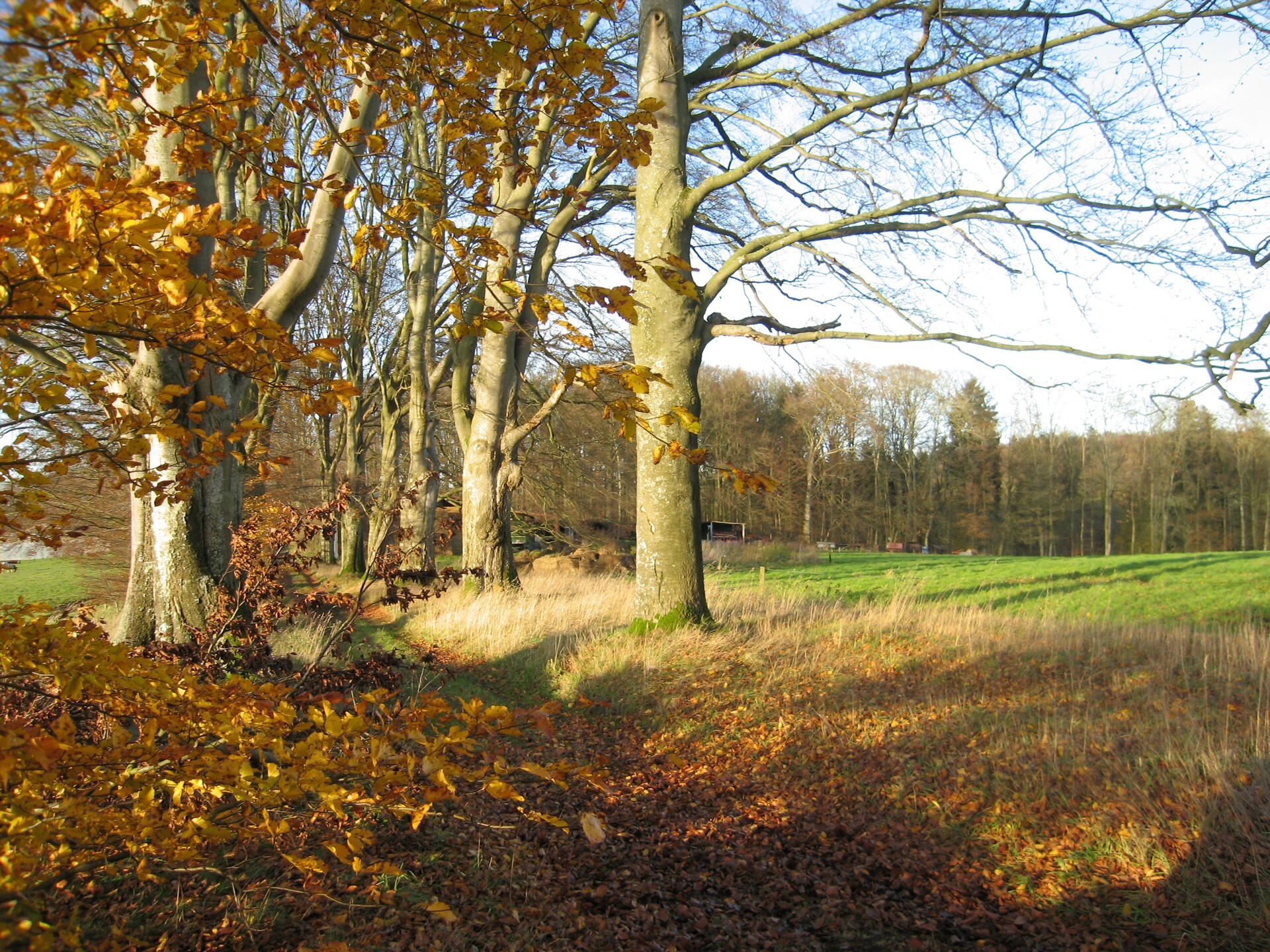 Les Jardins de l'Ourthe 16: Vrijstaand vakantiehuis in de Ardennen - foto 18
