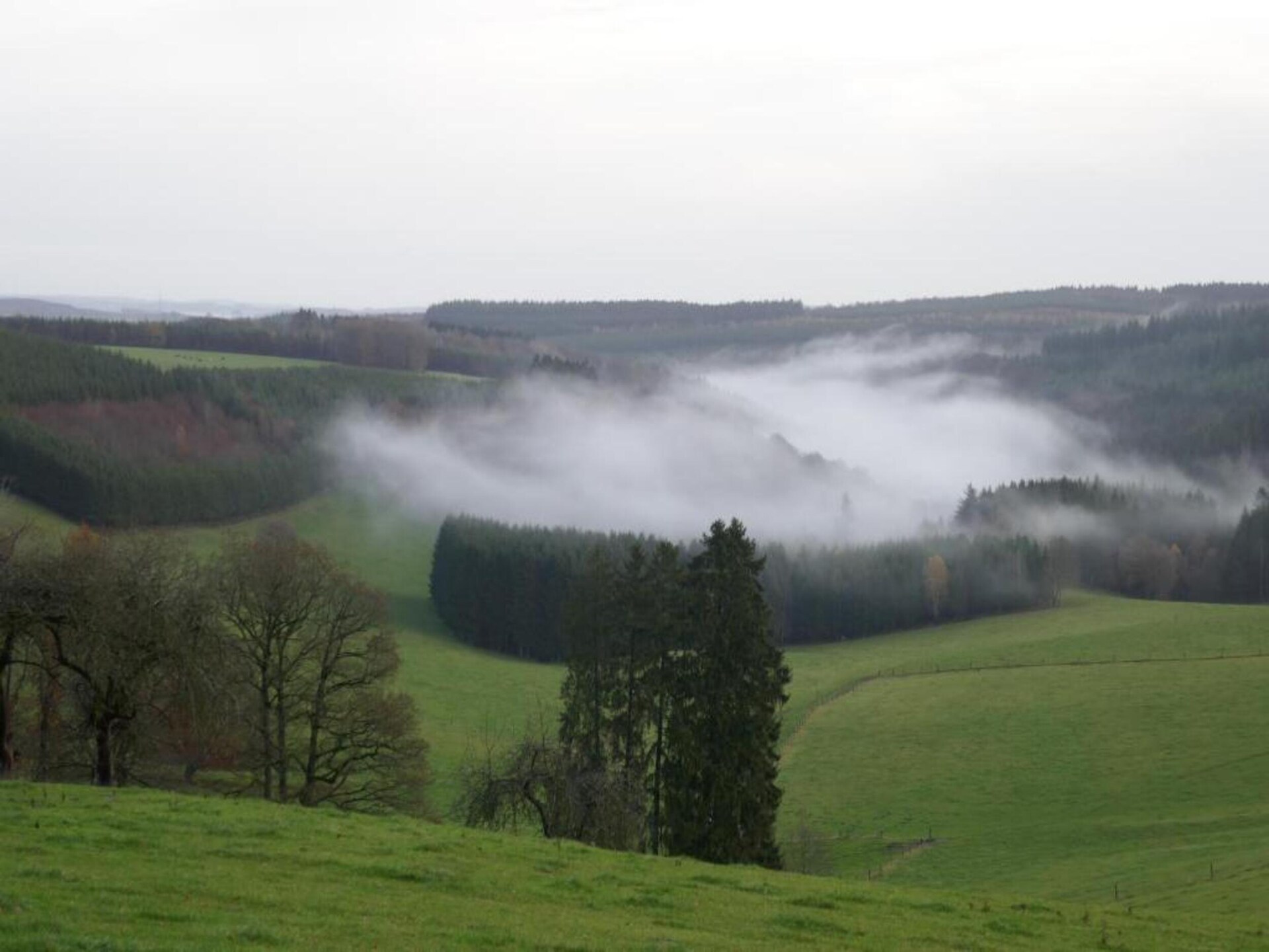 Les Jardins de l'Ourthe 16: Vrijstaand vakantiehuis in de Ardennen - foto 22