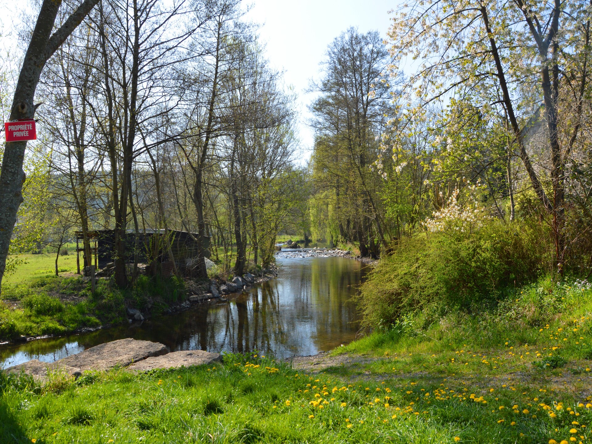 9-persoons bungalow met sauna en haard in Hour - foto 21
