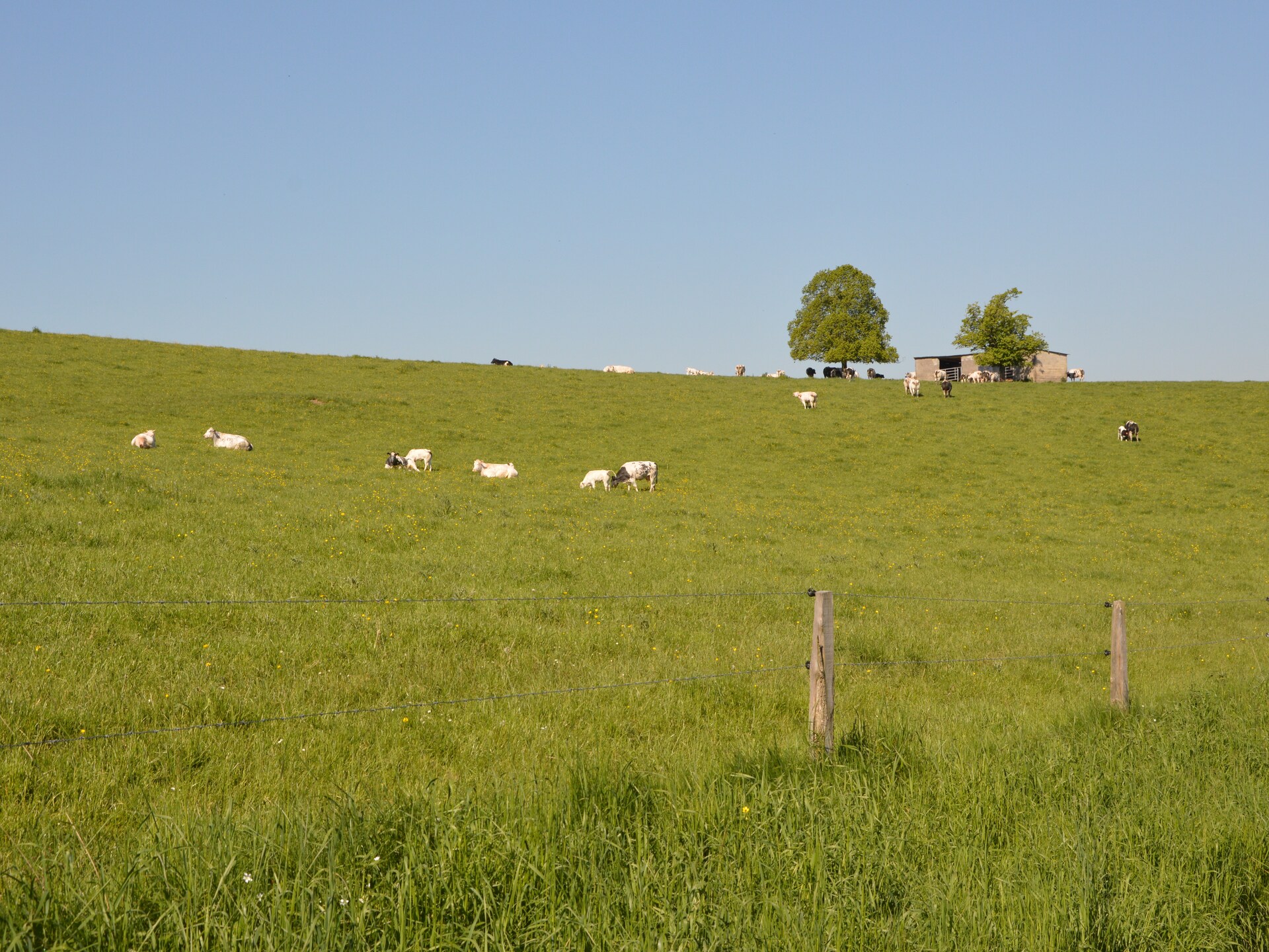 Gerenaverd 8-persoons dorpshuis in rustig Werpin - foto 23