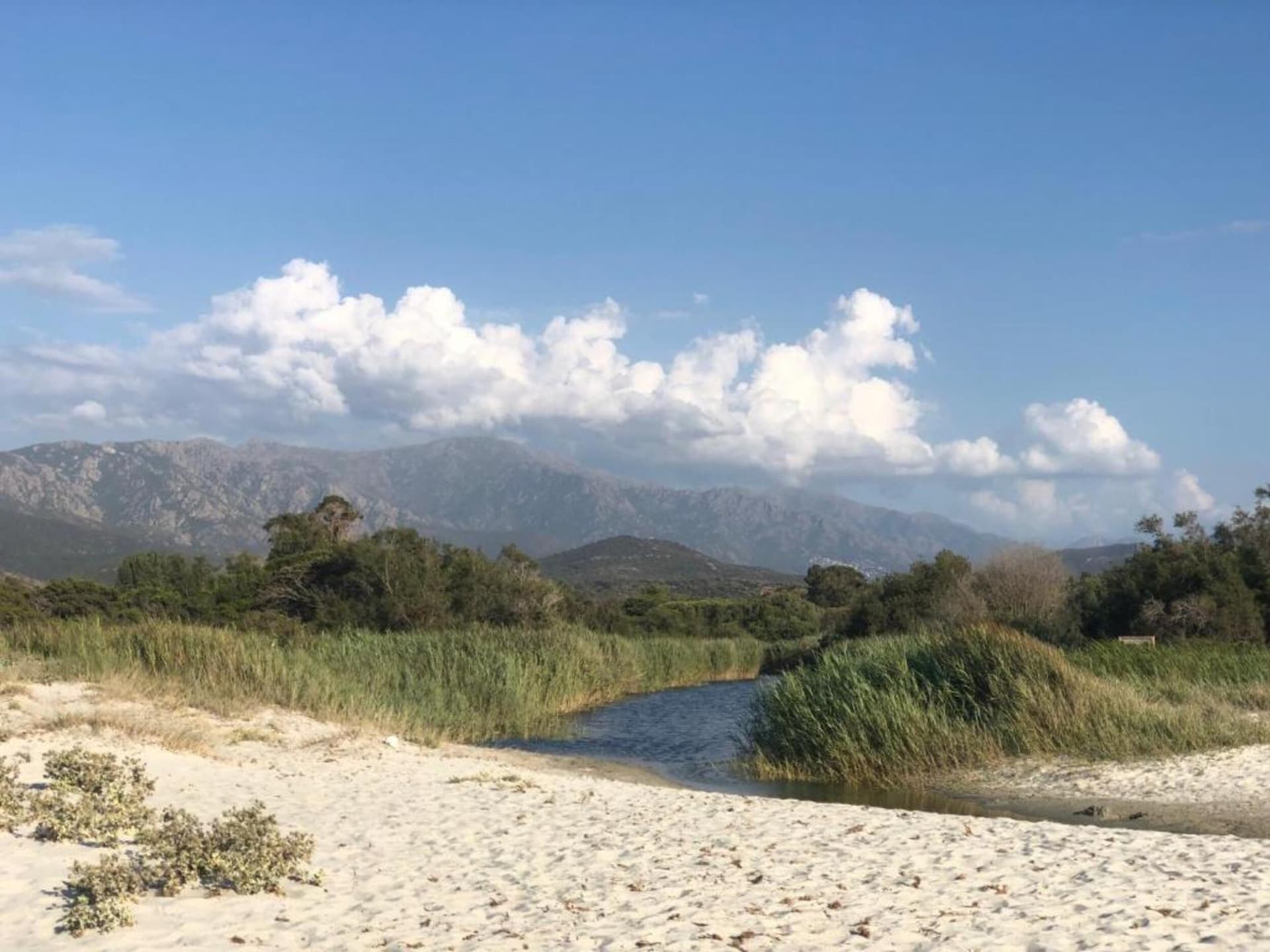 Sereen vakantiehuis voor 6 personen in Belgodere, Corsica - foto 20