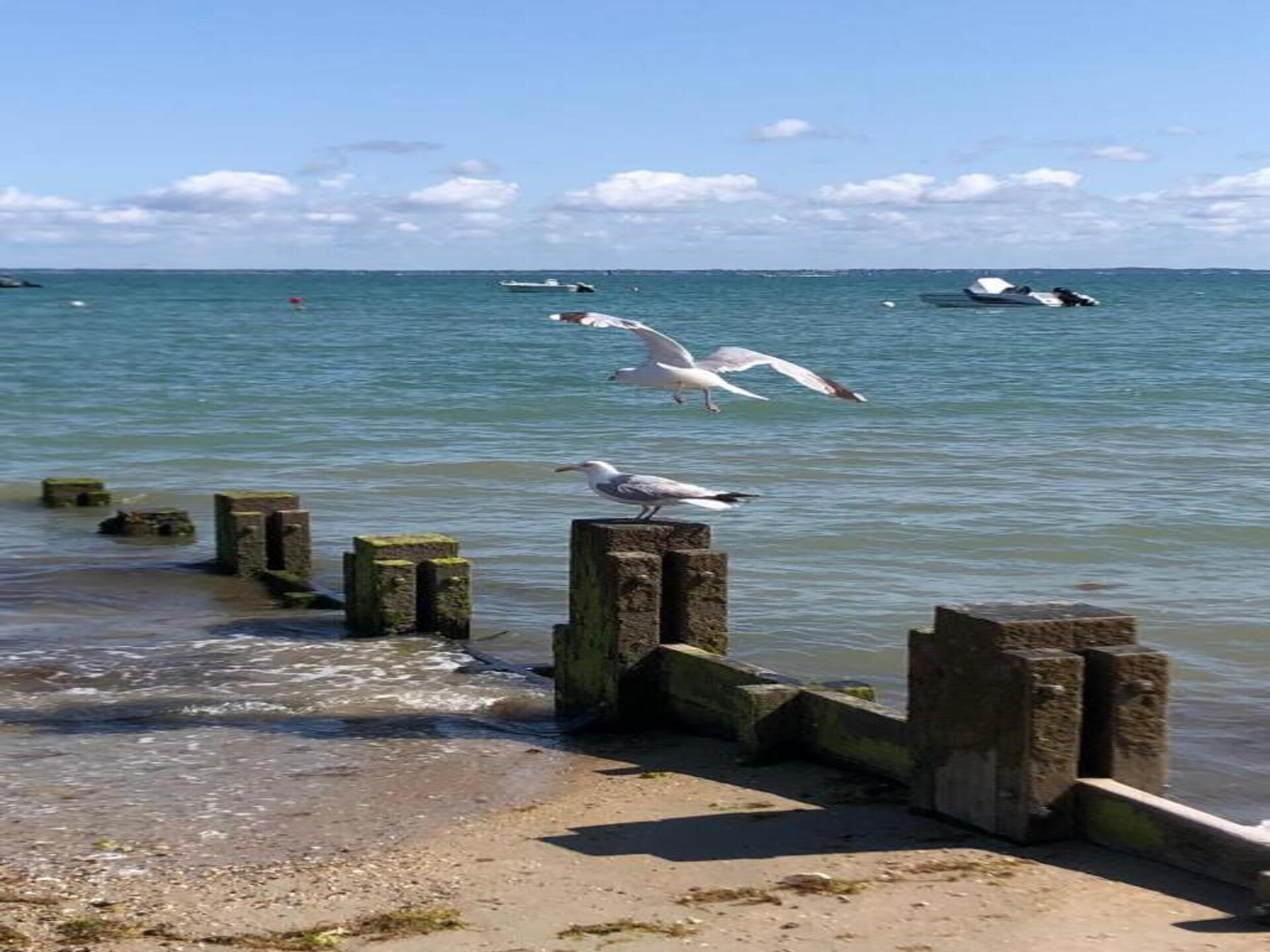 Knus appartement voor 6 op vakantiepark Le Domaine des Pins in Noirmoutier - foto 38