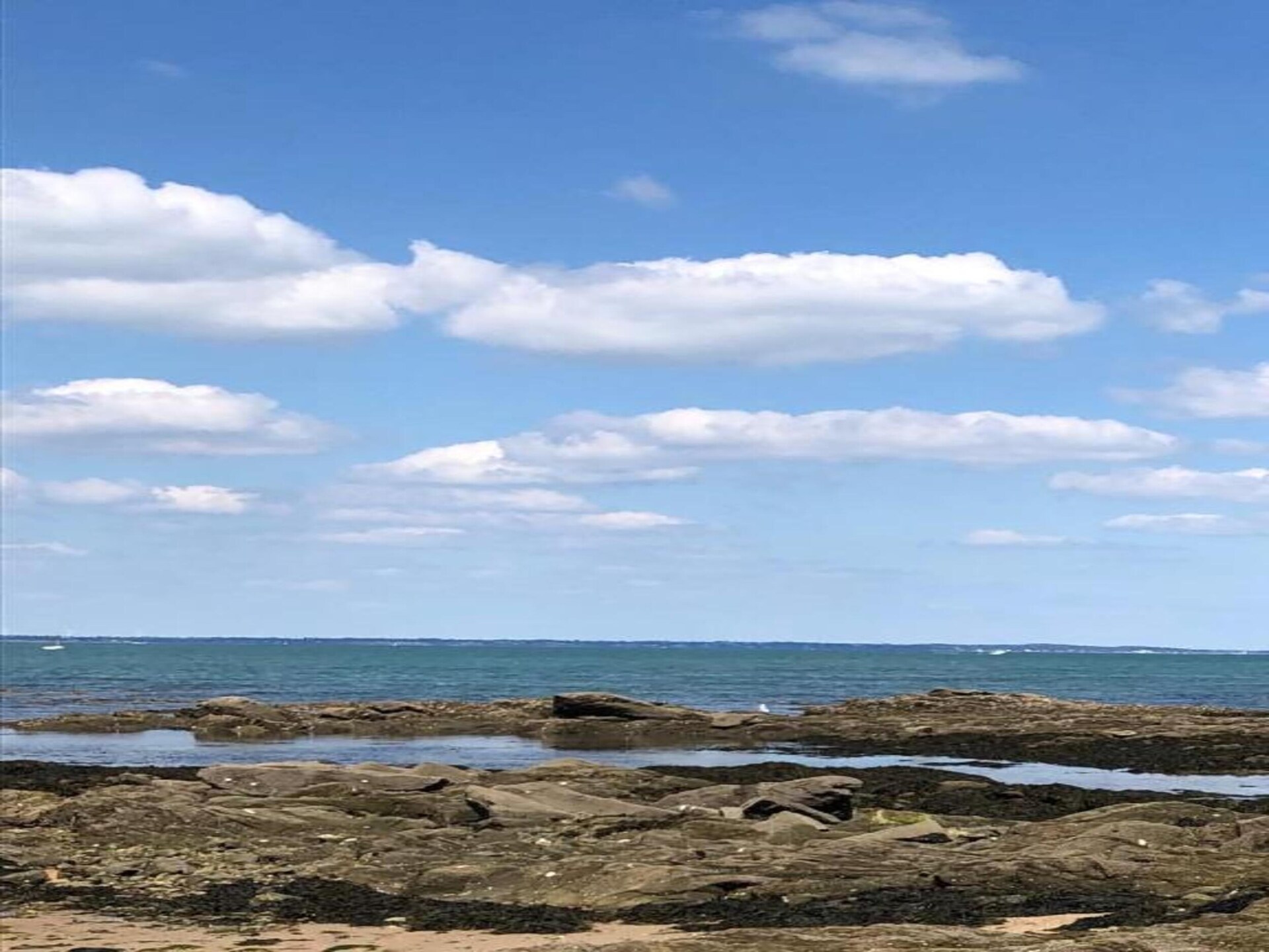 Zonnig appartement voor 7 personen in Noirmoutier en l'Ile - foto 27