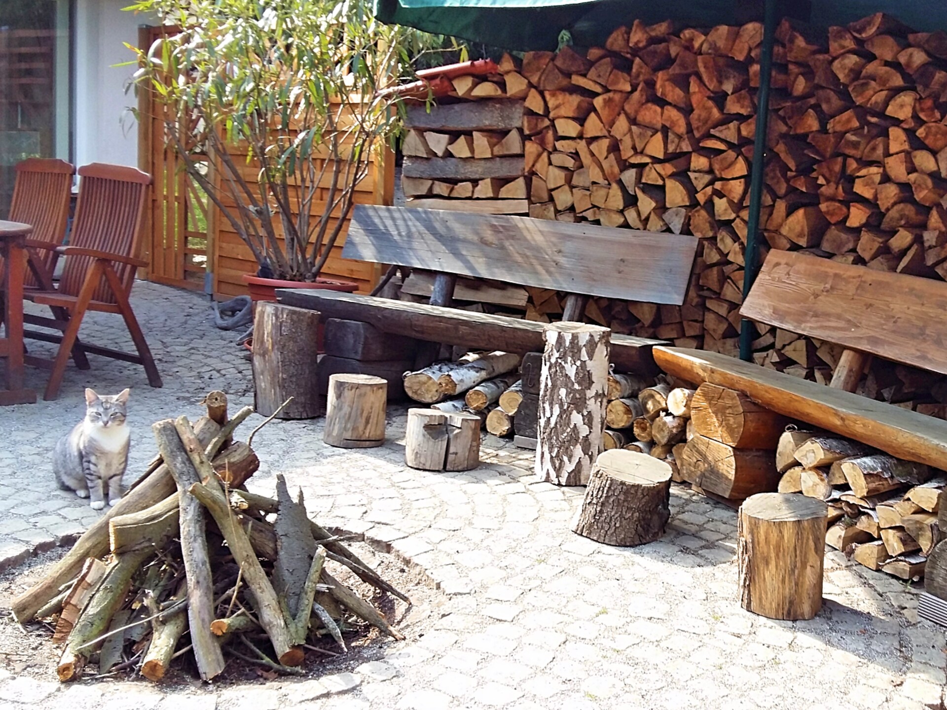 Knus bosappartement Doro in Blankenburg met privéterras - foto 16