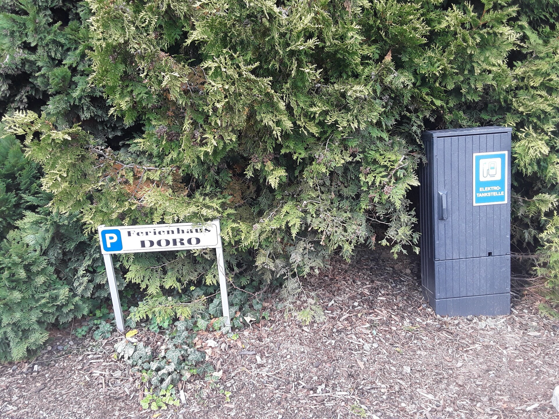 Knus bosappartement Doro in Blankenburg met privéterras - foto 18