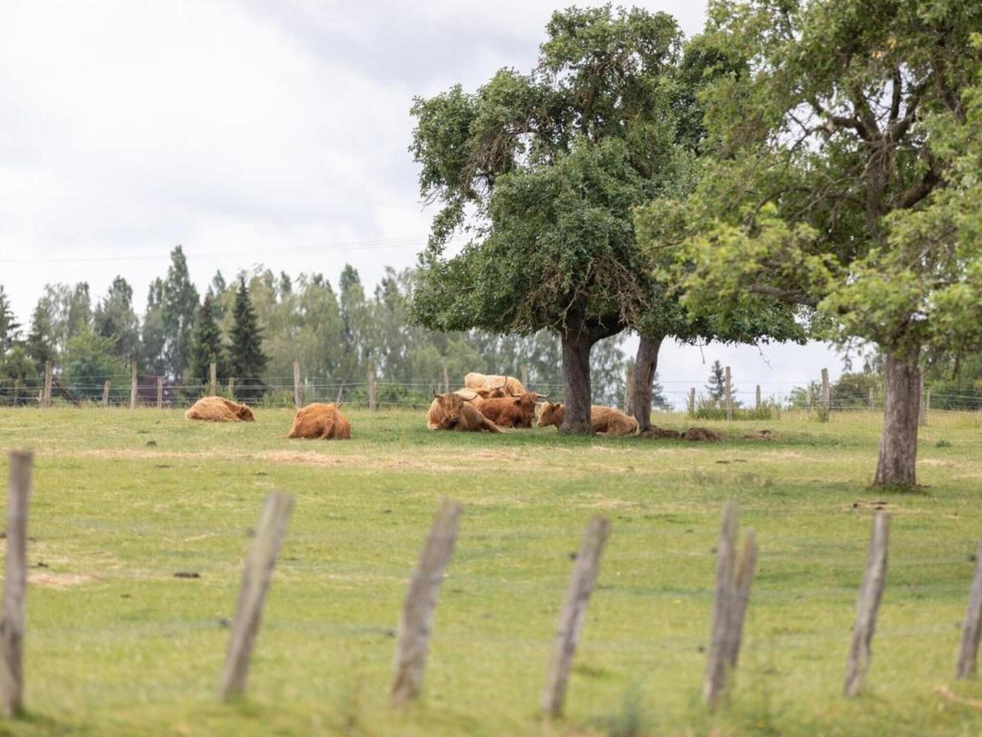Maison de Vacances Noisette: Rustiek vakantiehuis voor 7 in de Vogezen - foto 36