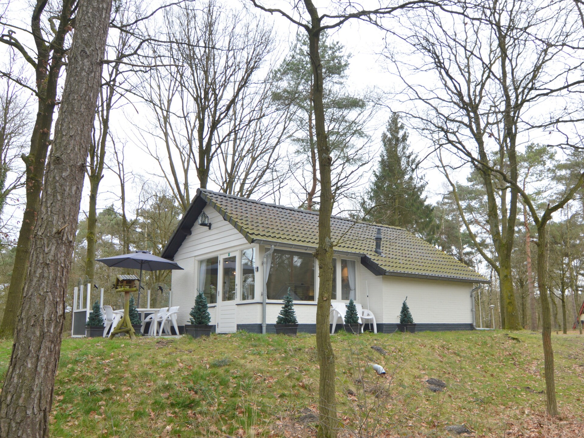 Knusse bosbungalow in Stramproy met terras aan de vijver - foto 17