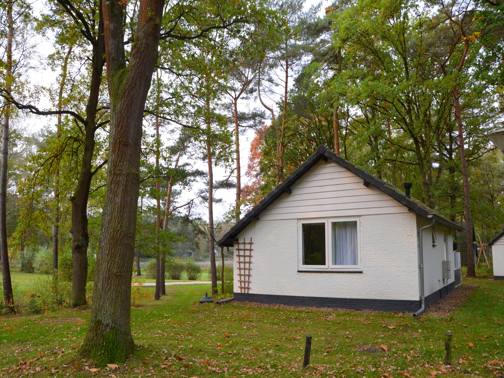 Knusse bosbungalow in Stramproy met terras aan de vijver - foto 18