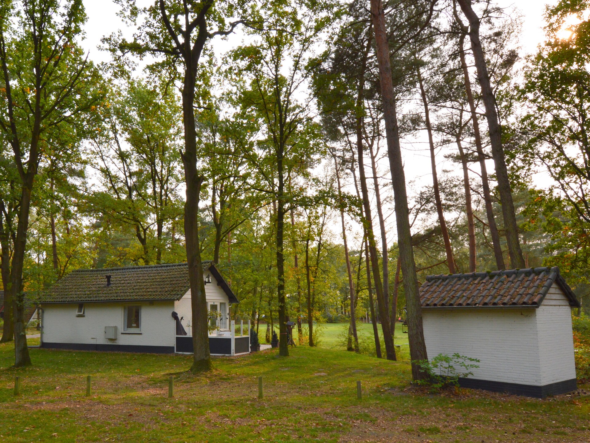 Knusse bosbungalow in Stramproy met terras aan de vijver - foto 19