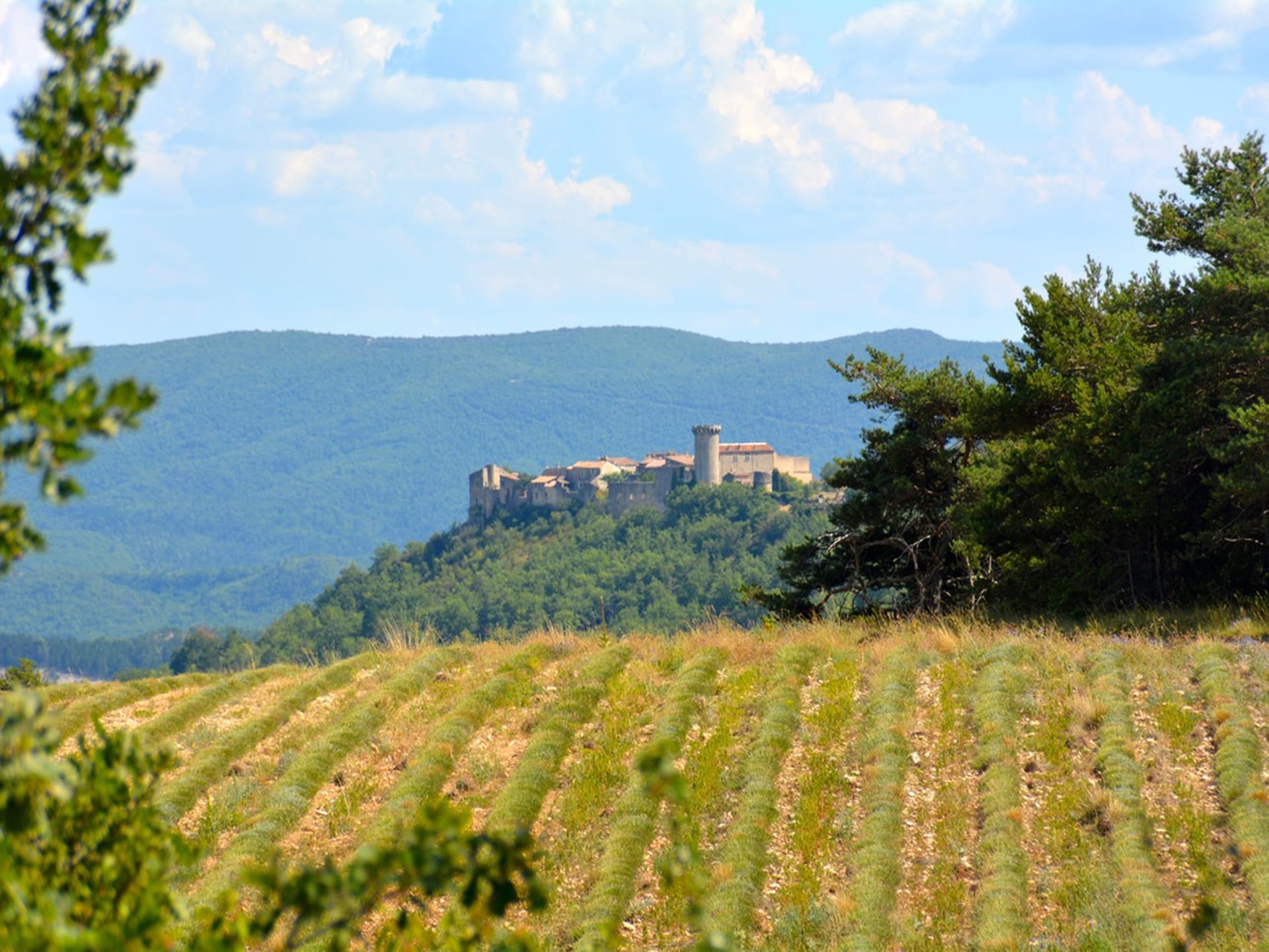 Villa Repos in Viens: Ruimte, privézwembad en authentiek Provençaals leven - foto 27
