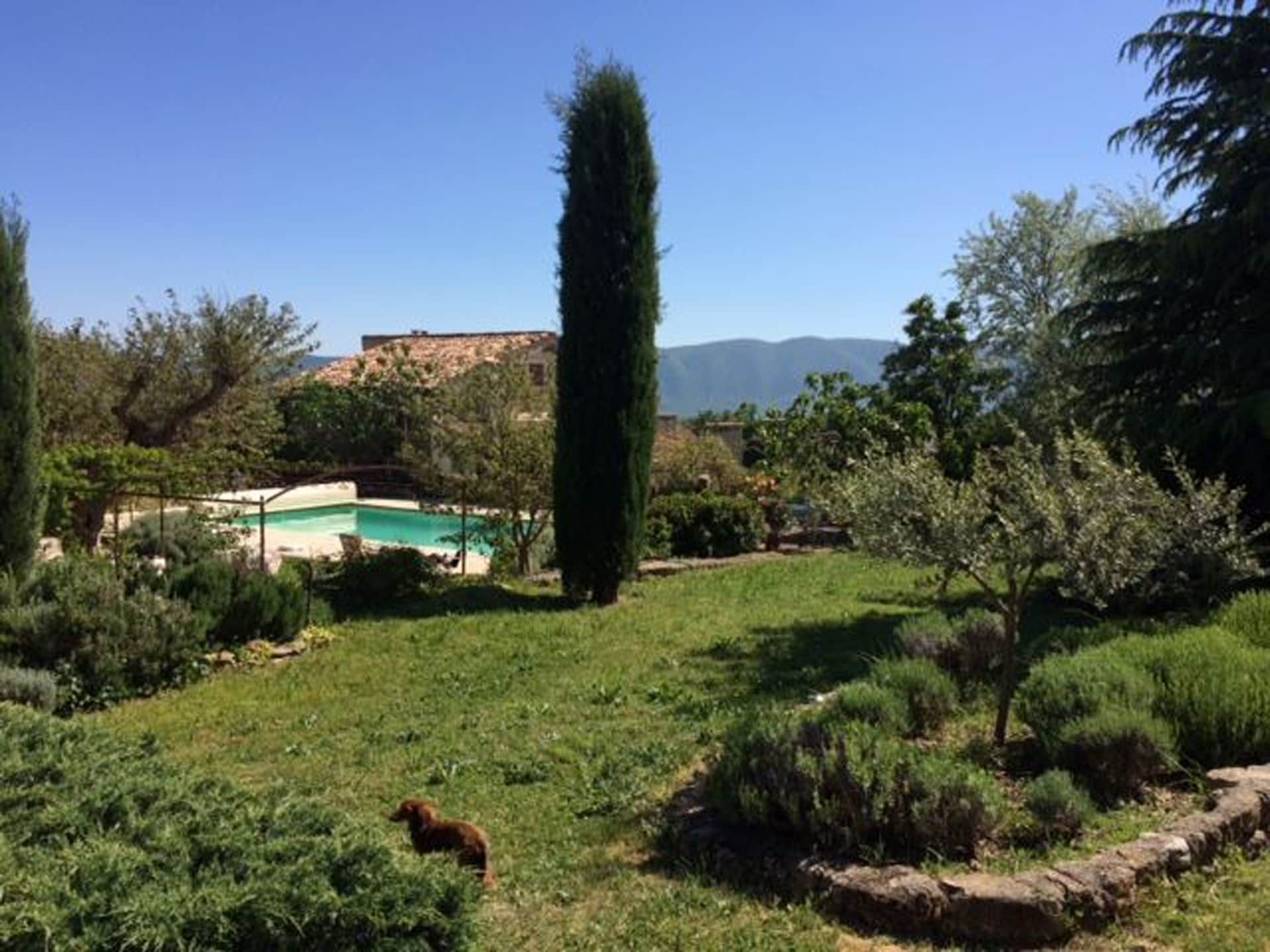 Villa Repos in Viens: Ruimte, privézwembad en authentiek Provençaals leven - foto 26