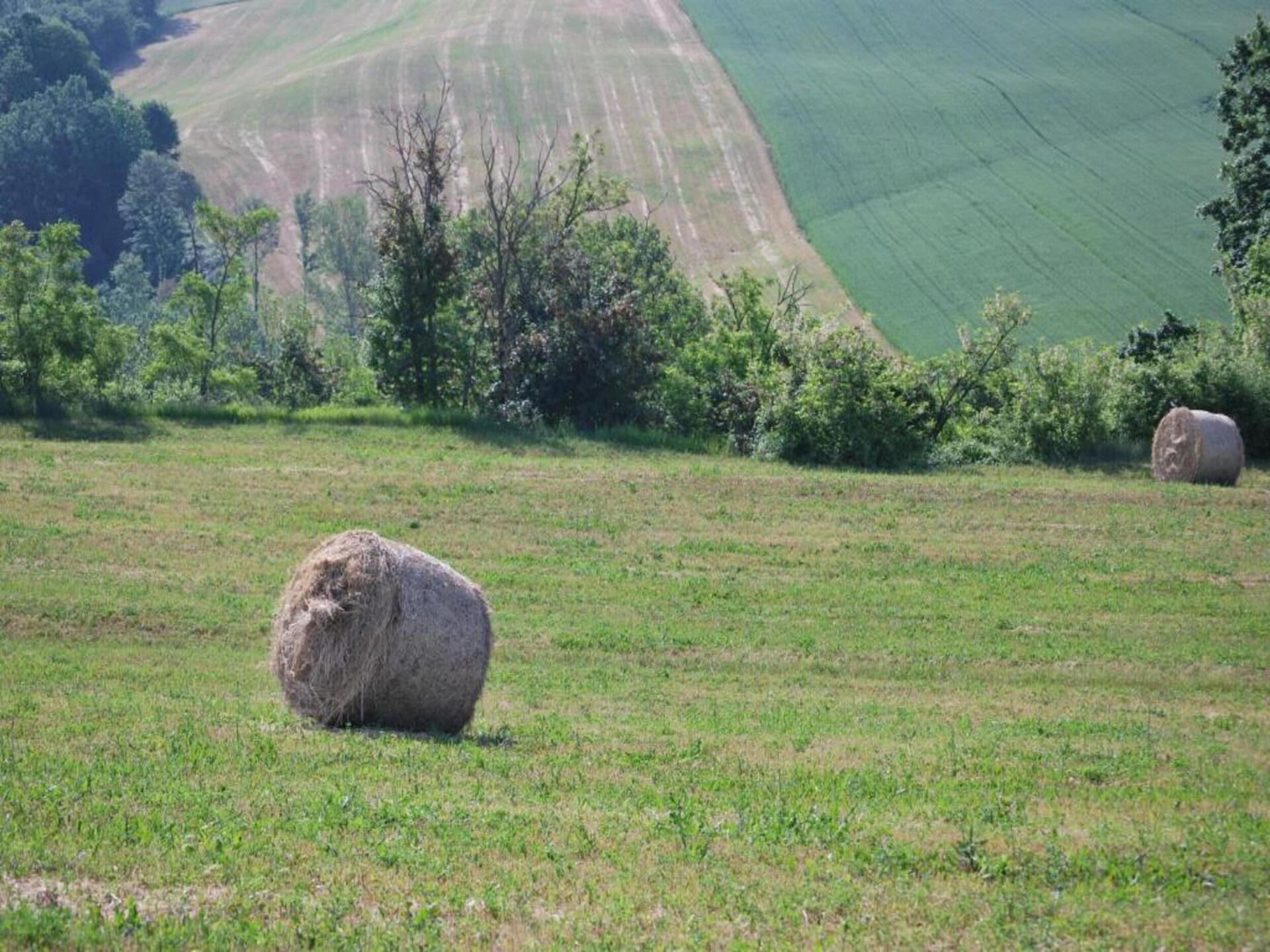 Op 1,0 km van het centrum: authentieke boerderij Il Giardiniere in Umbertide - foto 32