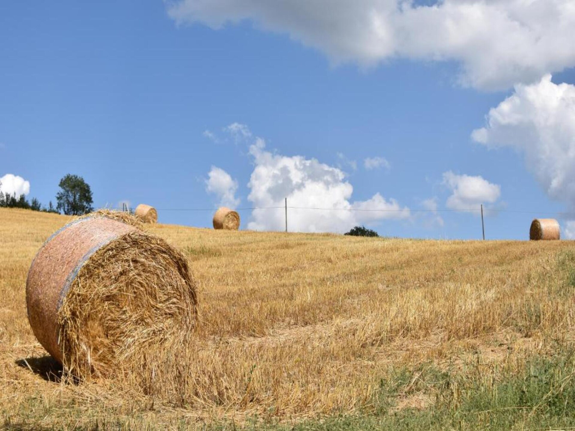Op 1,0 km van het centrum: authentieke boerderij Il Giardiniere in Umbertide - foto 34