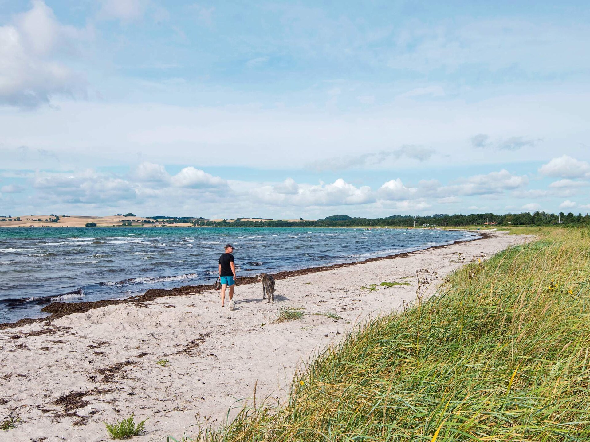 Licht vakantiehuis op 50 meter van de Aarhusbaai met panoramisch waterzicht - foto 30
