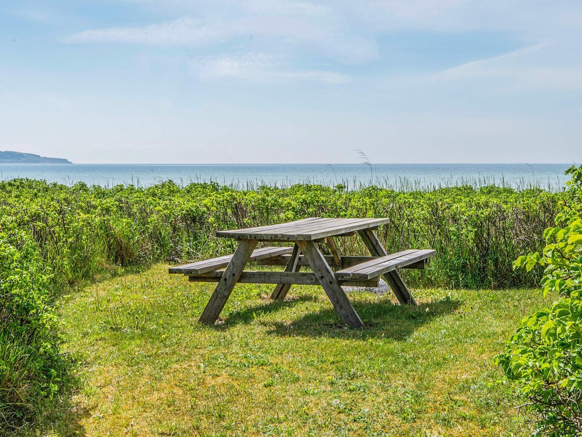 Licht vakantiehuis op 50 meter van de Aarhusbaai met panoramisch waterzicht - foto 6