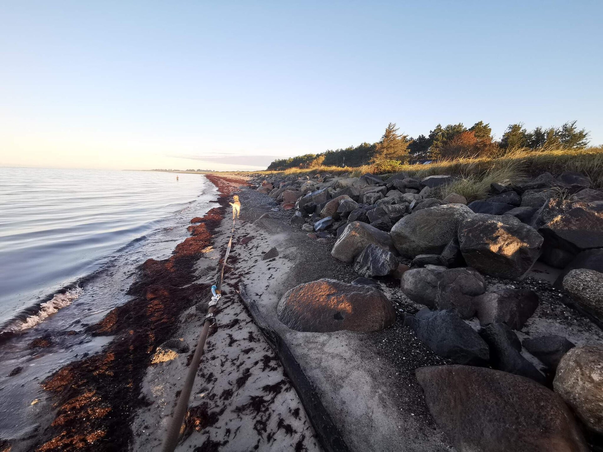 8-persoons vakantiehuis aan zee in Dannemare met sauna en whirlpool - foto 24