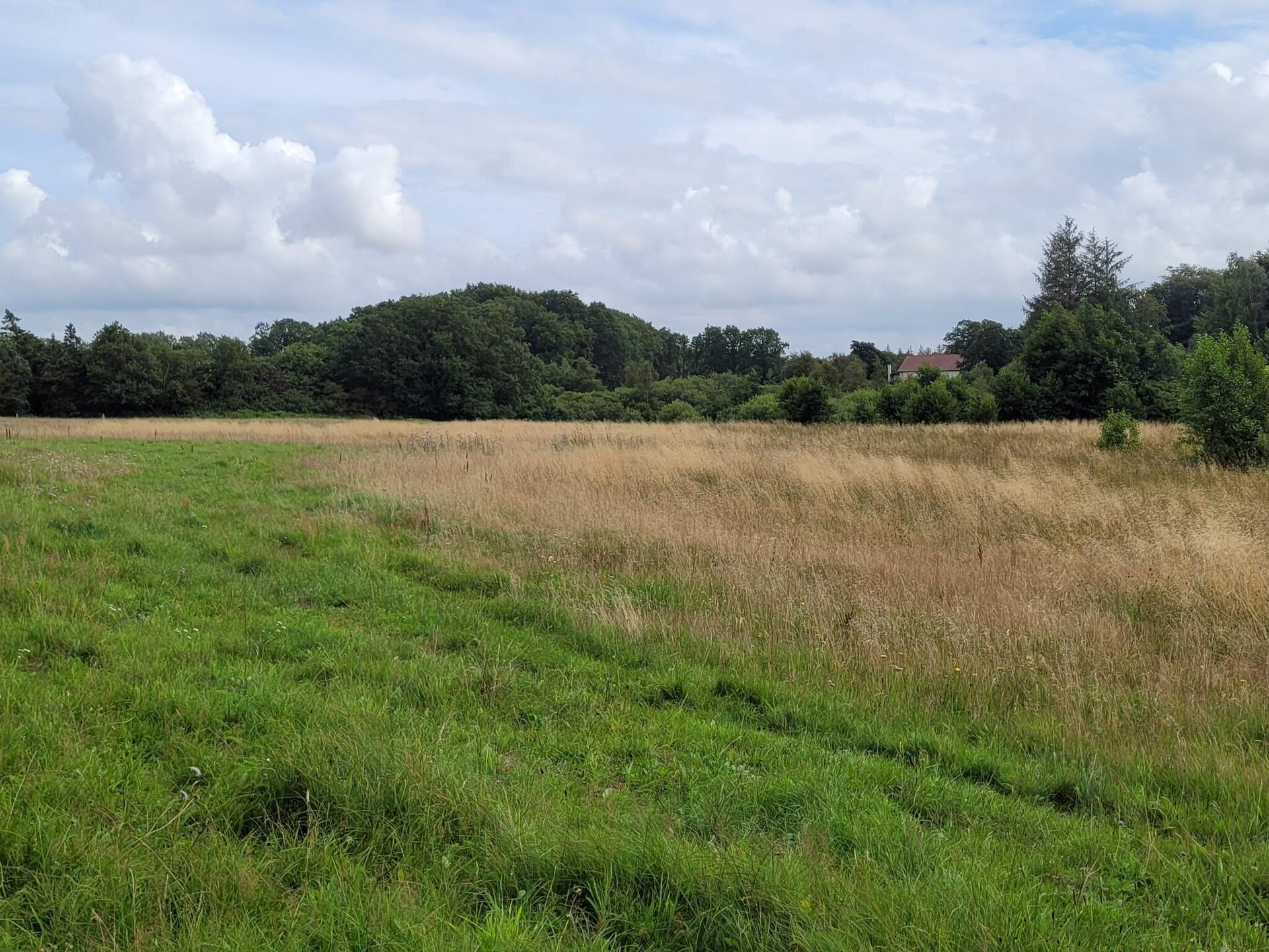 Gezellig vakantiehuis met whirlpool in Hovborg - foto 19