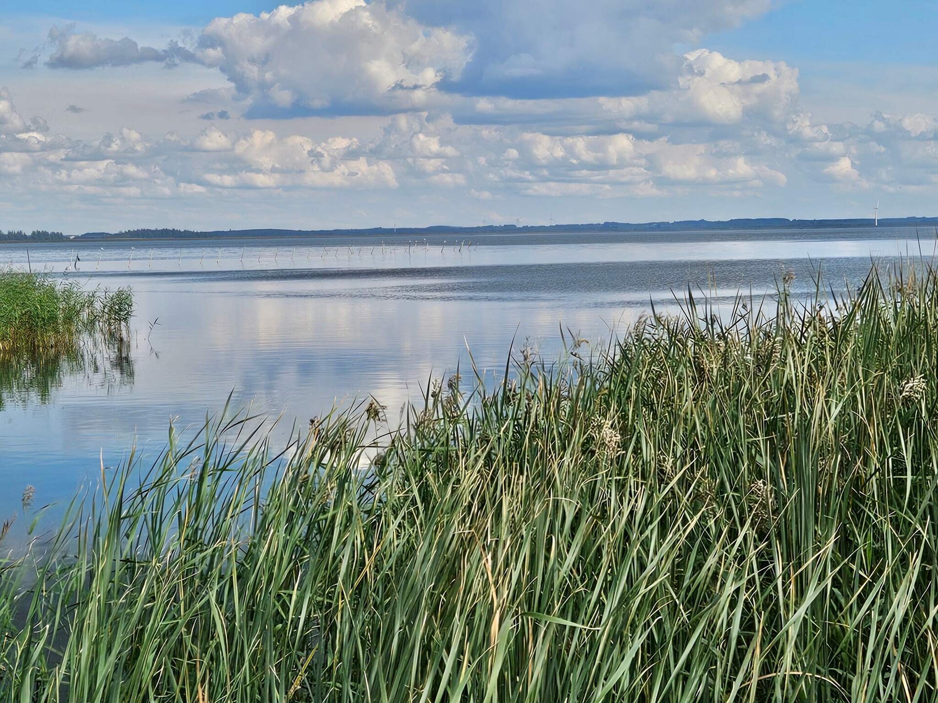 Gerenoveerd vakantiehuis bij Nørhede, 600m van de fjord - foto 21