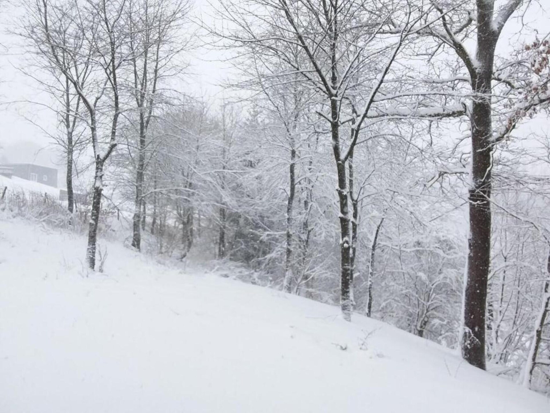 Stijlvol appartement direct aan de skipiste in Willingen - foto 24