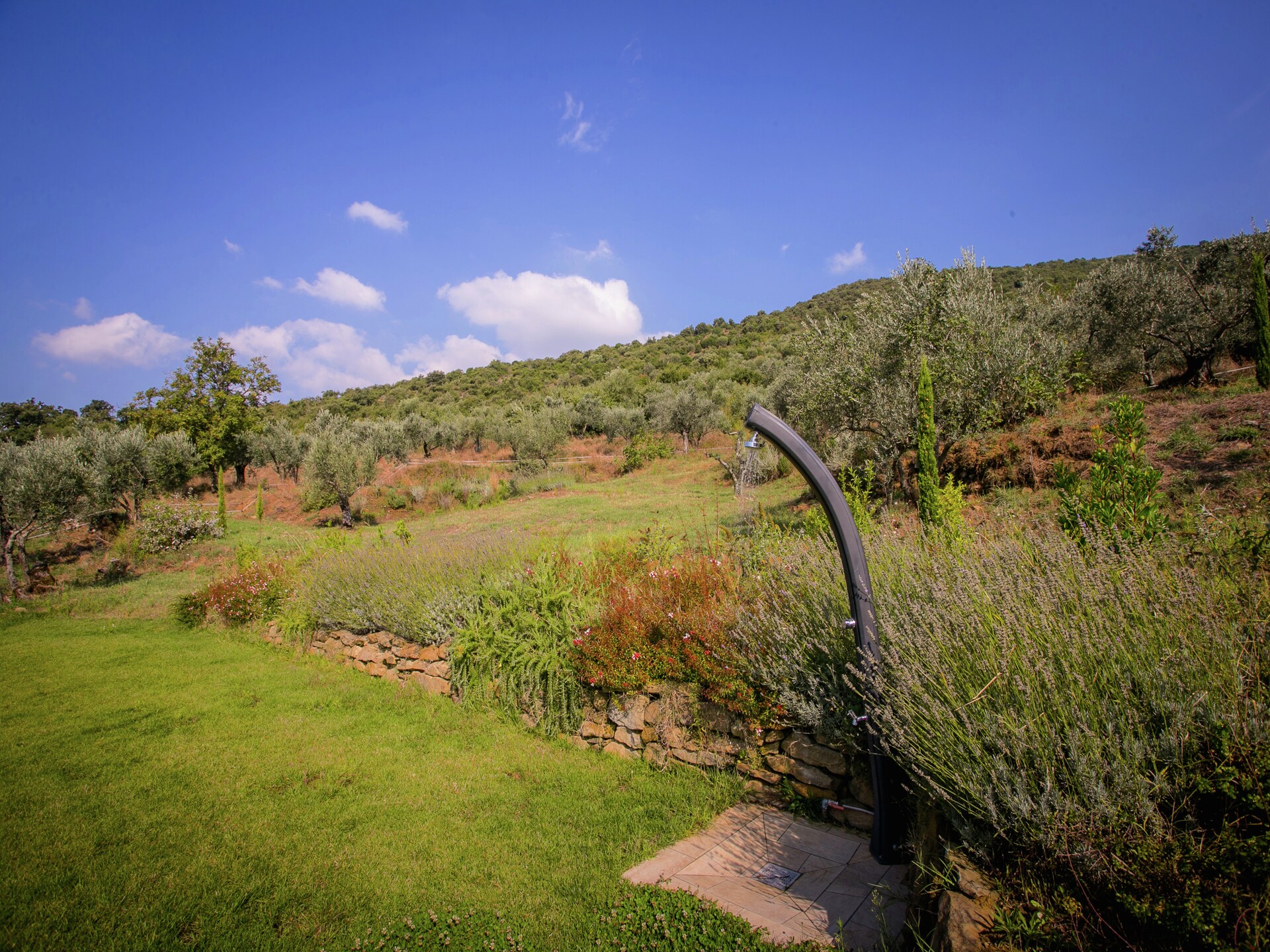 San Martino Ulivi: Ruime villa met privézwembad en panoramisch uitzicht bij Cortona - foto 19