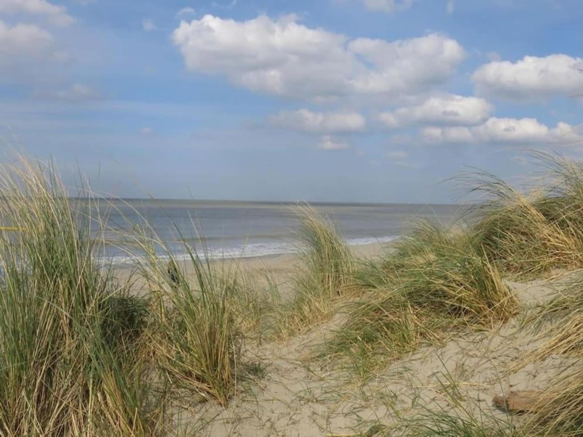 Luxe vrijstaande villa voor 4 personen in Bredene - foto 32