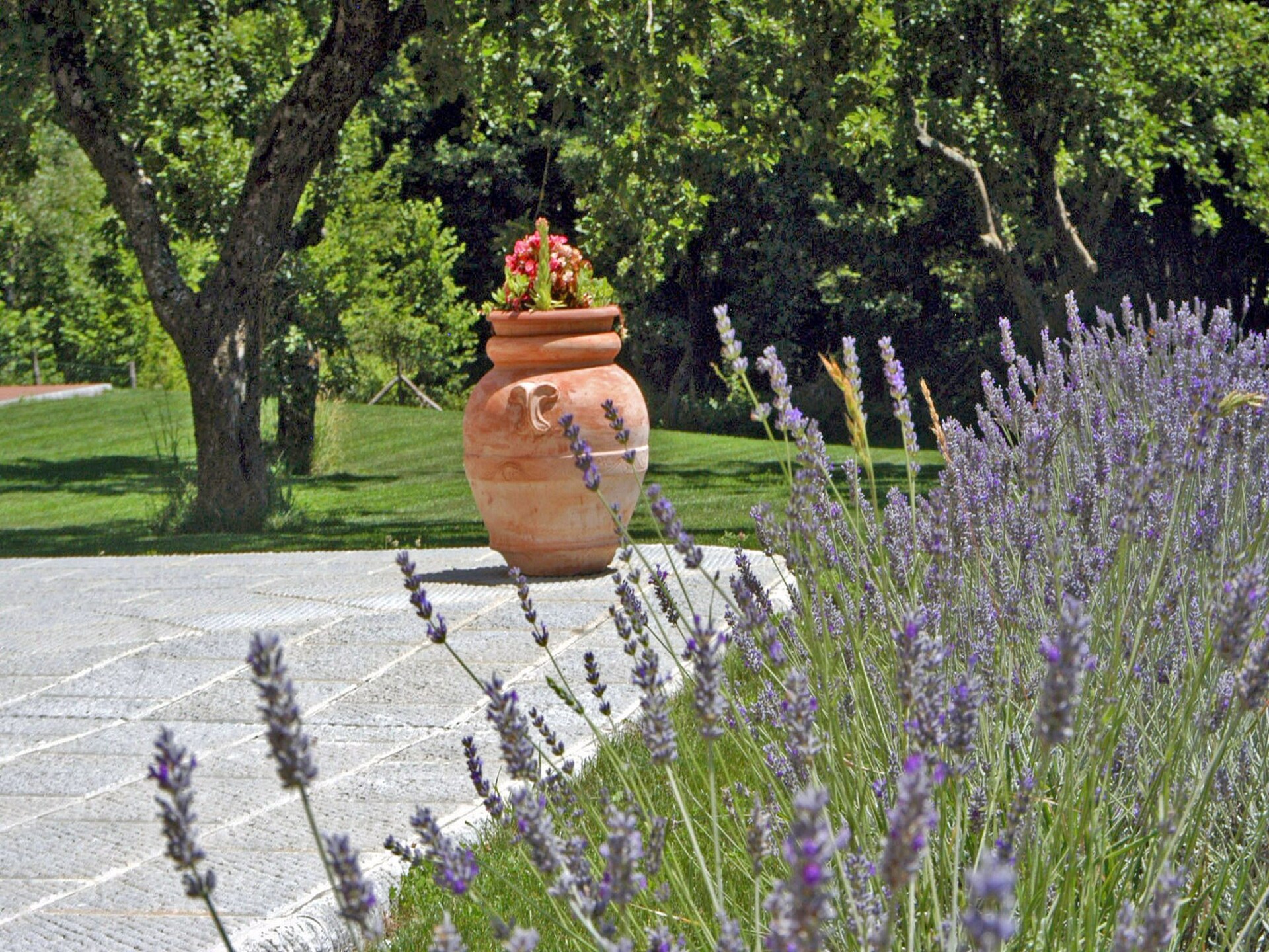 Exclusieve villa in Pistoia met spa, verwarmd zwembad en uitzicht op Toscaanse heuvels - foto 36
