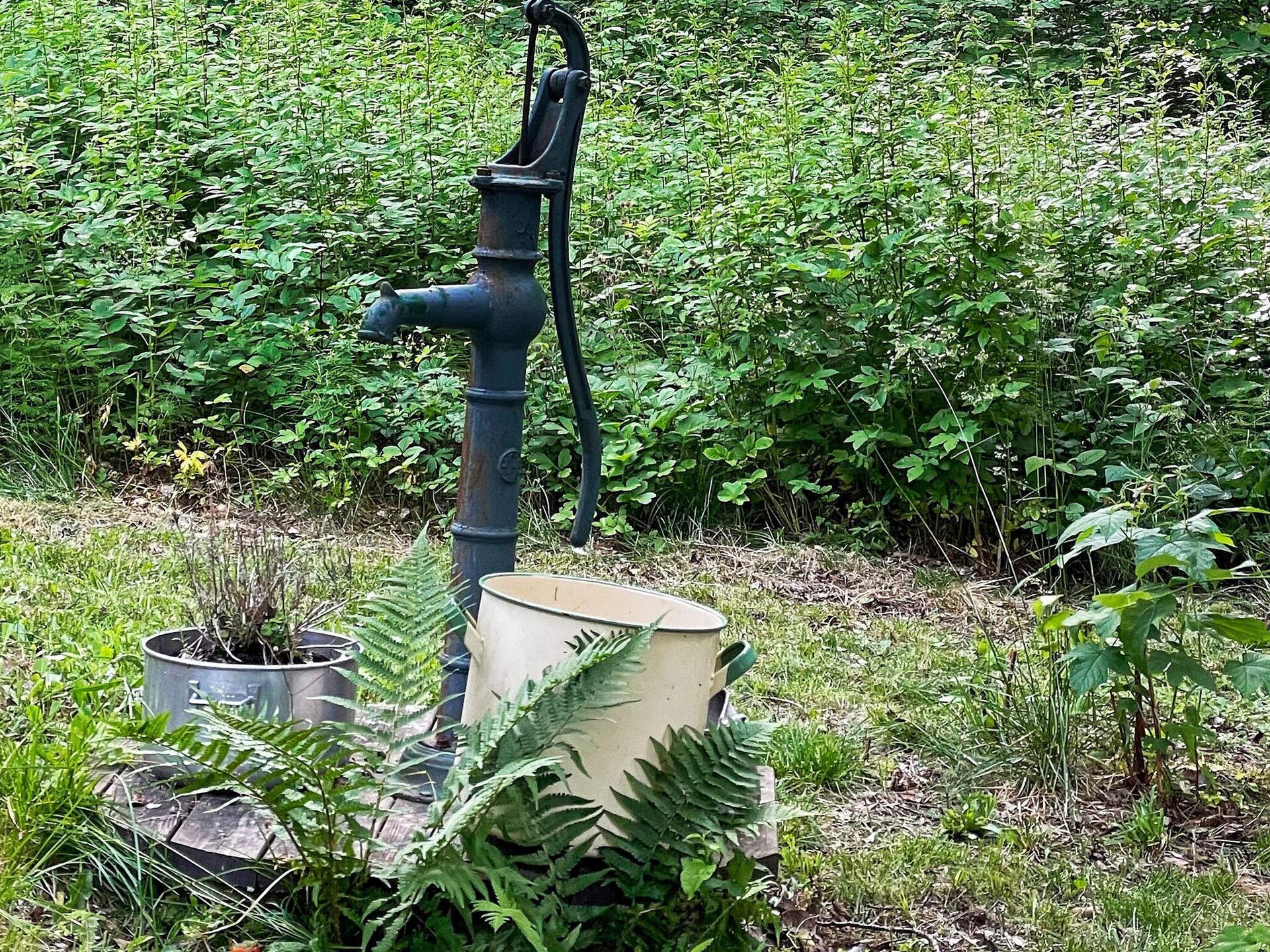 Charmant Zweeds vakantiehuis met sauna, vrij aan de bosrand bij nationaal park Tiveden - foto 3