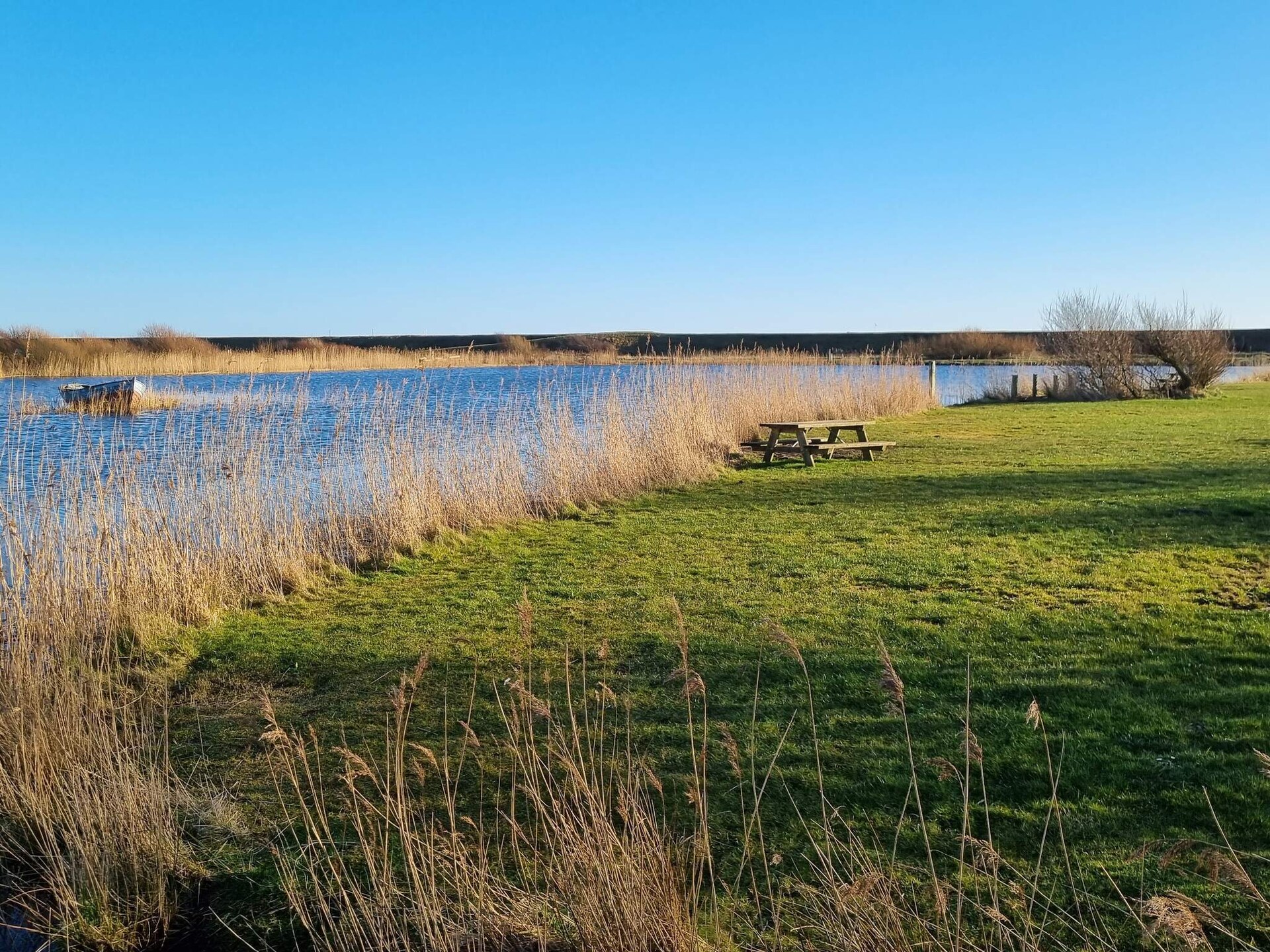 Vrijstaand vakantiehuis met jacuzzi en sauna in rustig Blåvand - foto 11