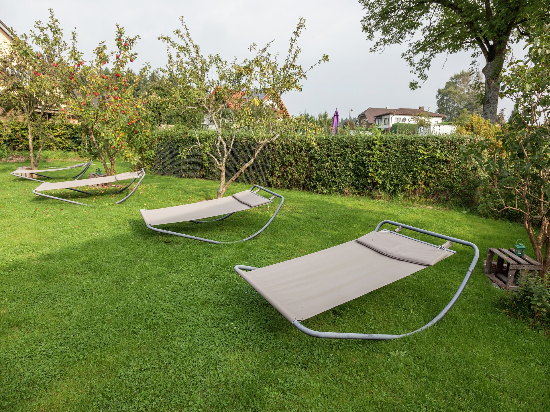 Willy EG: Comfortabel vakantiehuis aan de golf in de Vulkaaneifel - foto 32