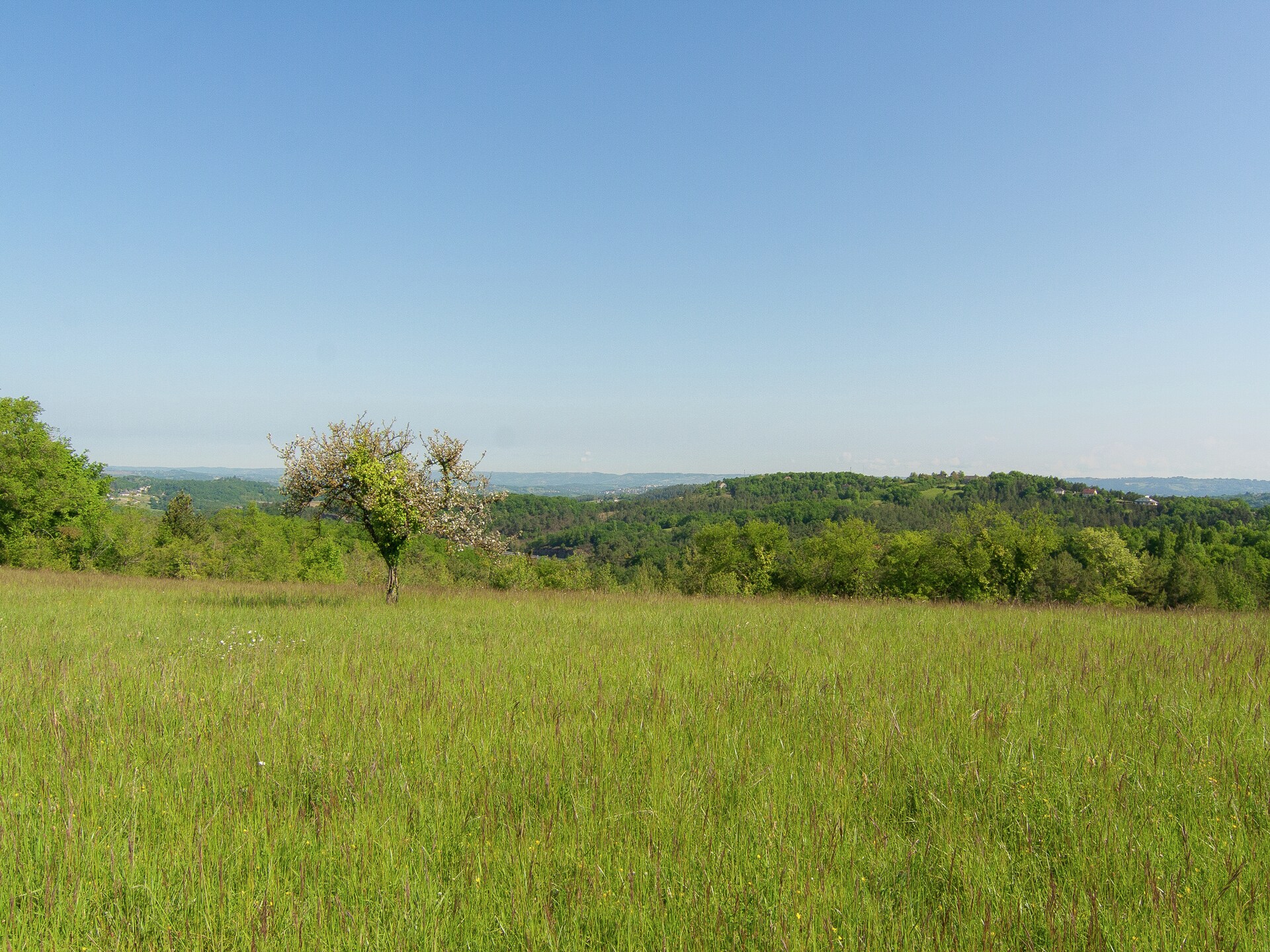 Knus vakantiehuis met privétuin in Malemort-sur-Corrèze - foto 21