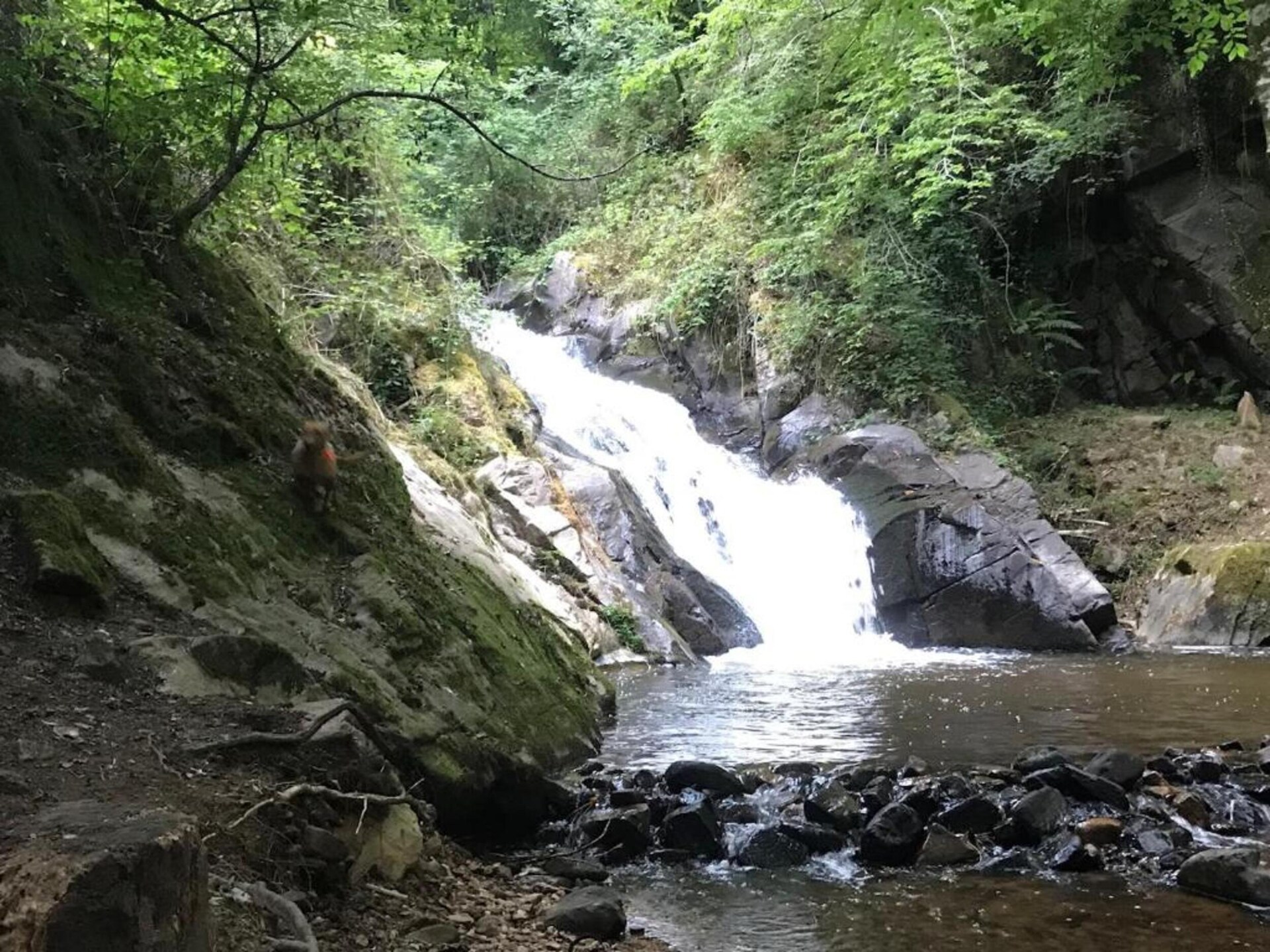 Knus vakantiehuis met privétuin in Malemort-sur-Corrèze - foto 31