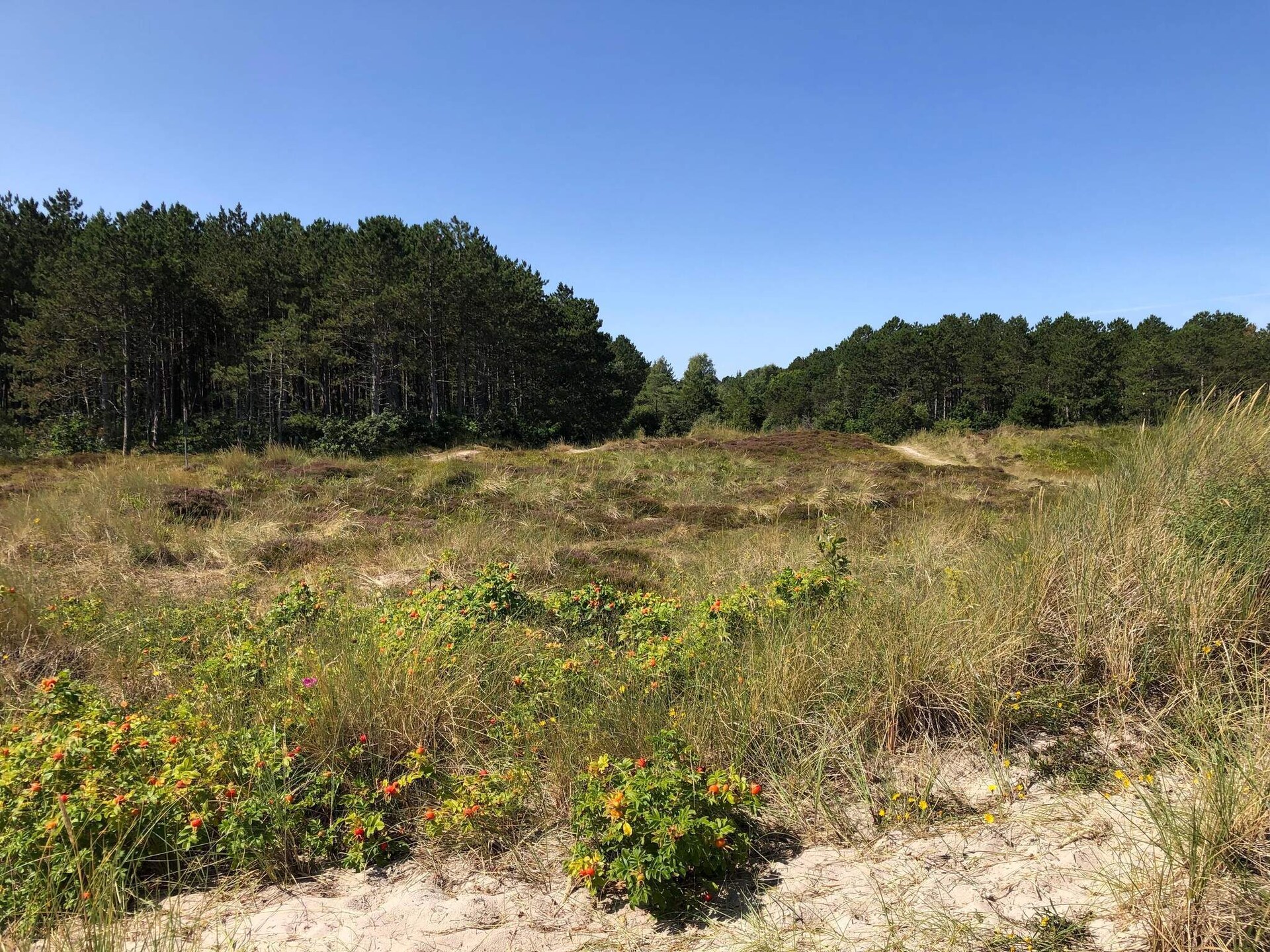 Vrijstaand vakantiehuis bij Grenaa met whirlpool, 400m van het strand - foto 4