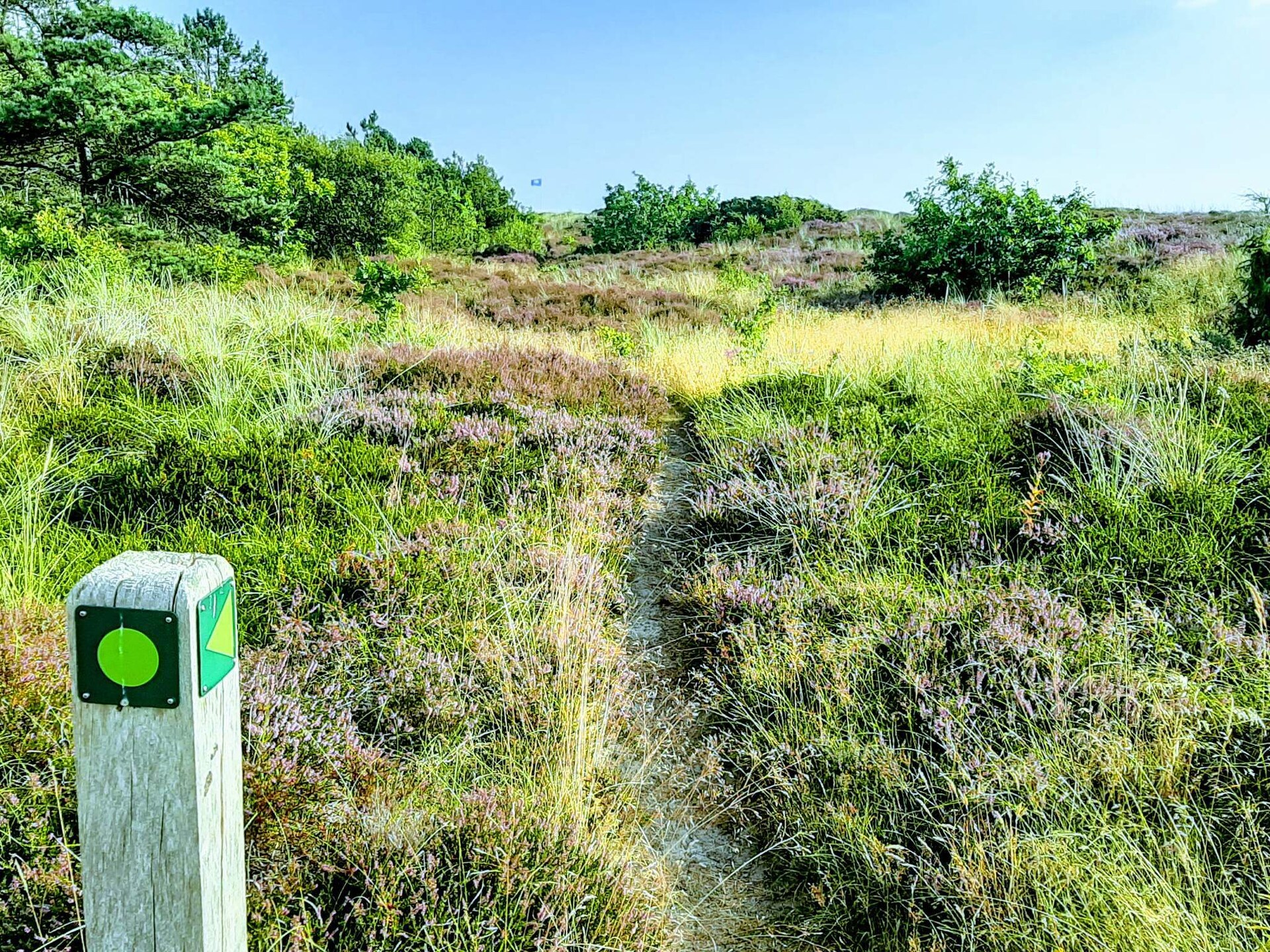 Vrijstaand vakantiehuis bij Grenaa met whirlpool, 400m van het strand - foto 6