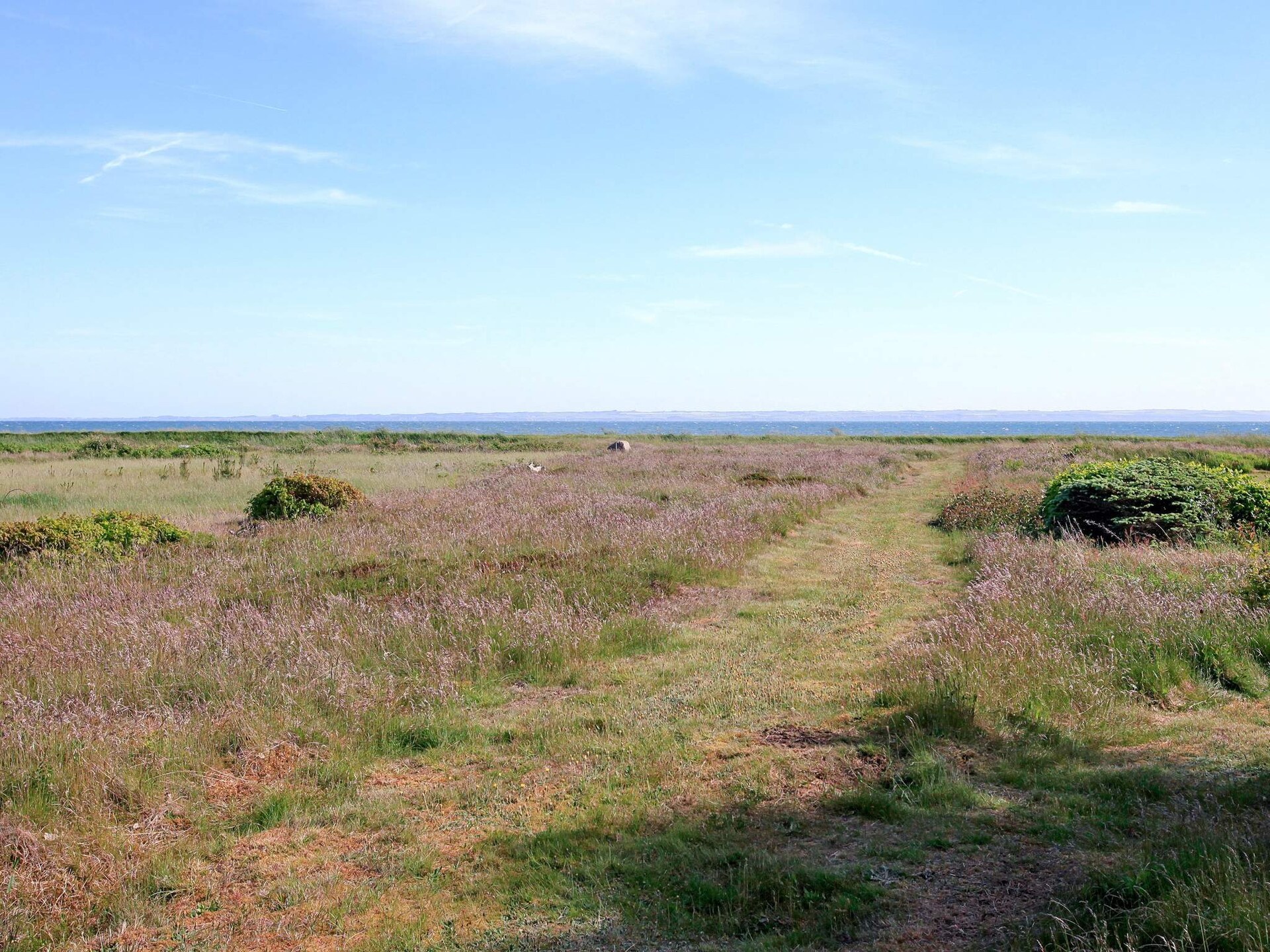 06521 - foto 19