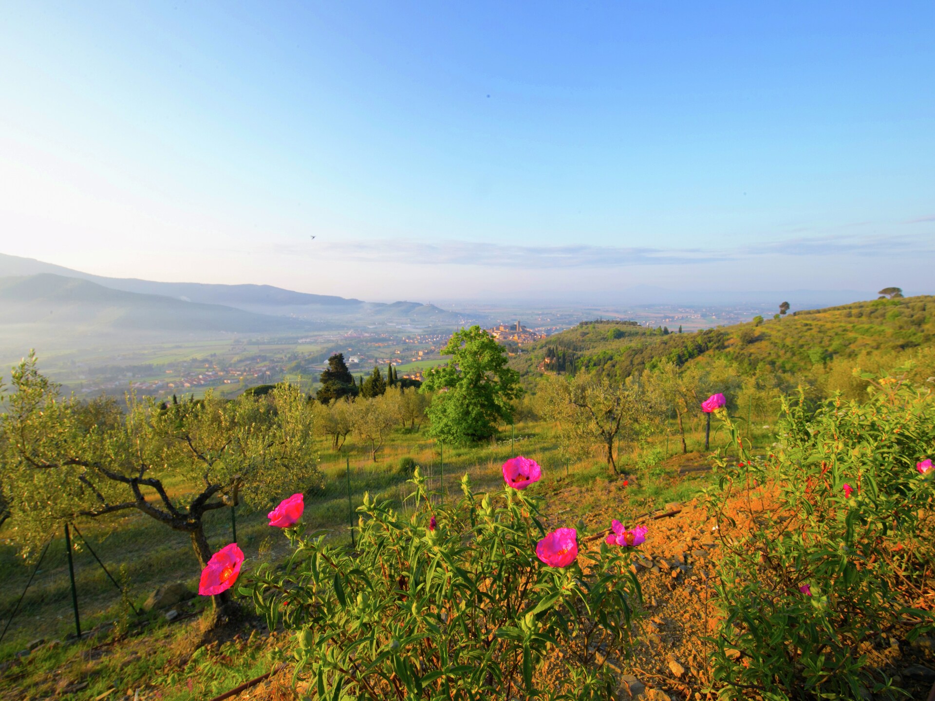 Villa met privézwembad en panoramisch uitzicht in Castiglion Fiorentino - foto 38