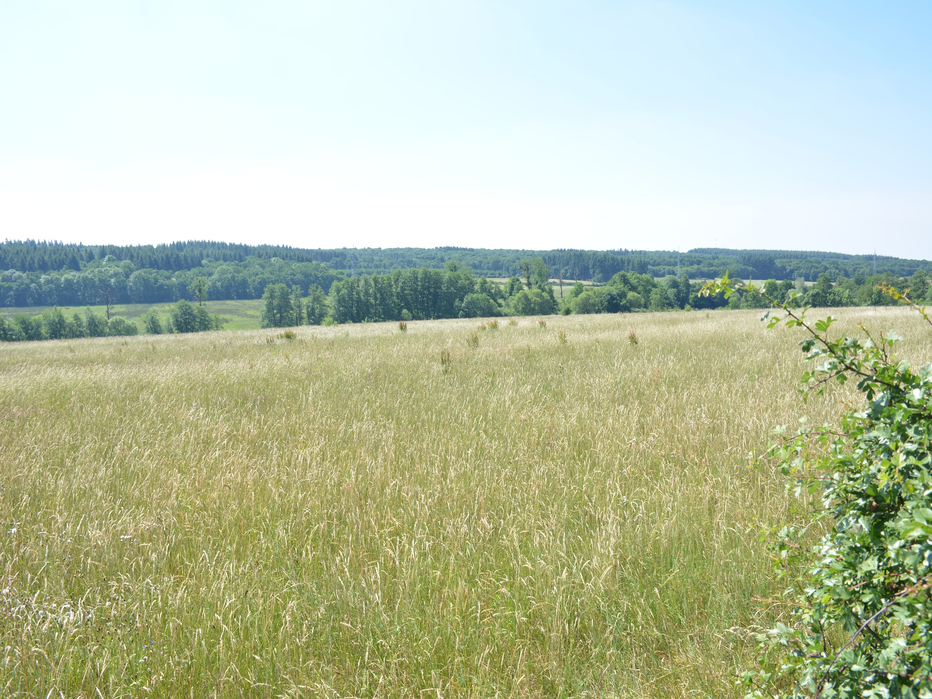 8-persoons vakantiehuis met 5 suites in Serinchamps - foto 34