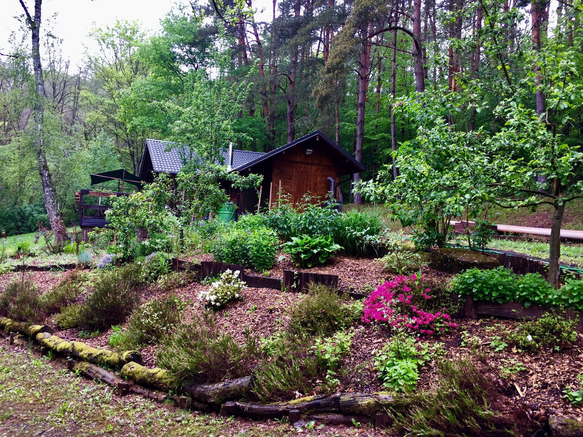 Knus houten chalet met privésauna in het Franse platteland van Bousseviller - foto 33